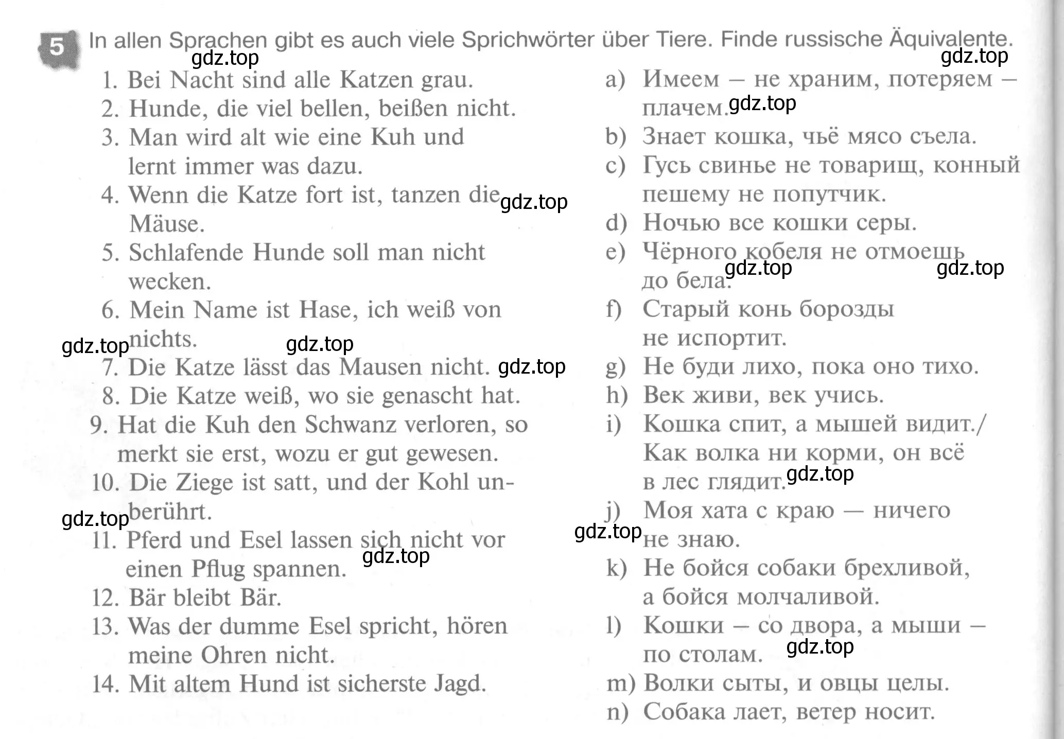 Условие номер 5 (страница 60) гдз по немецкому языку 7 класс Бим, Садомова, рабочая тетрадь