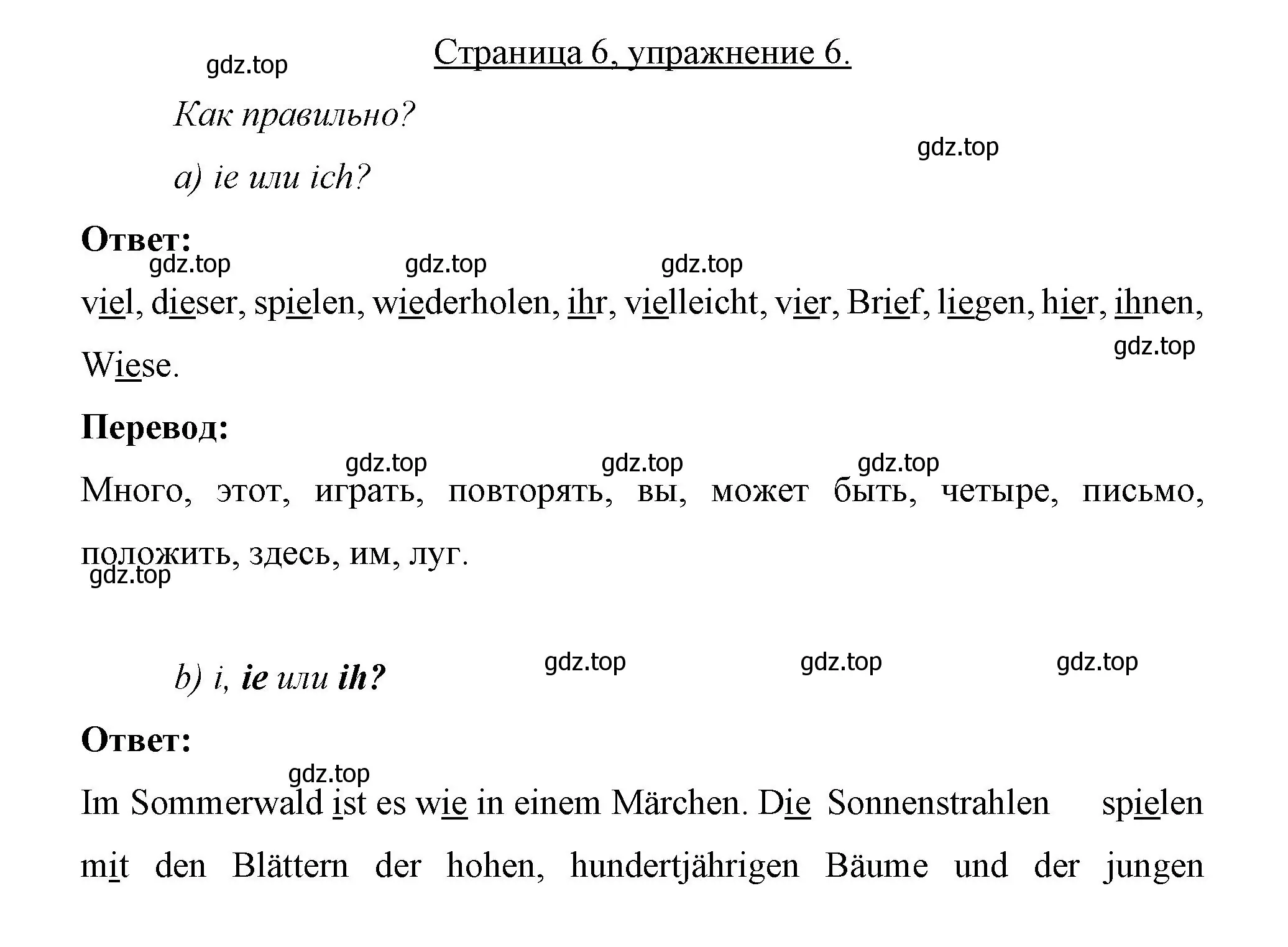 Решение номер 6 (страница 6) гдз по немецкому языку 7 класс Бим, Садомова, рабочая тетрадь