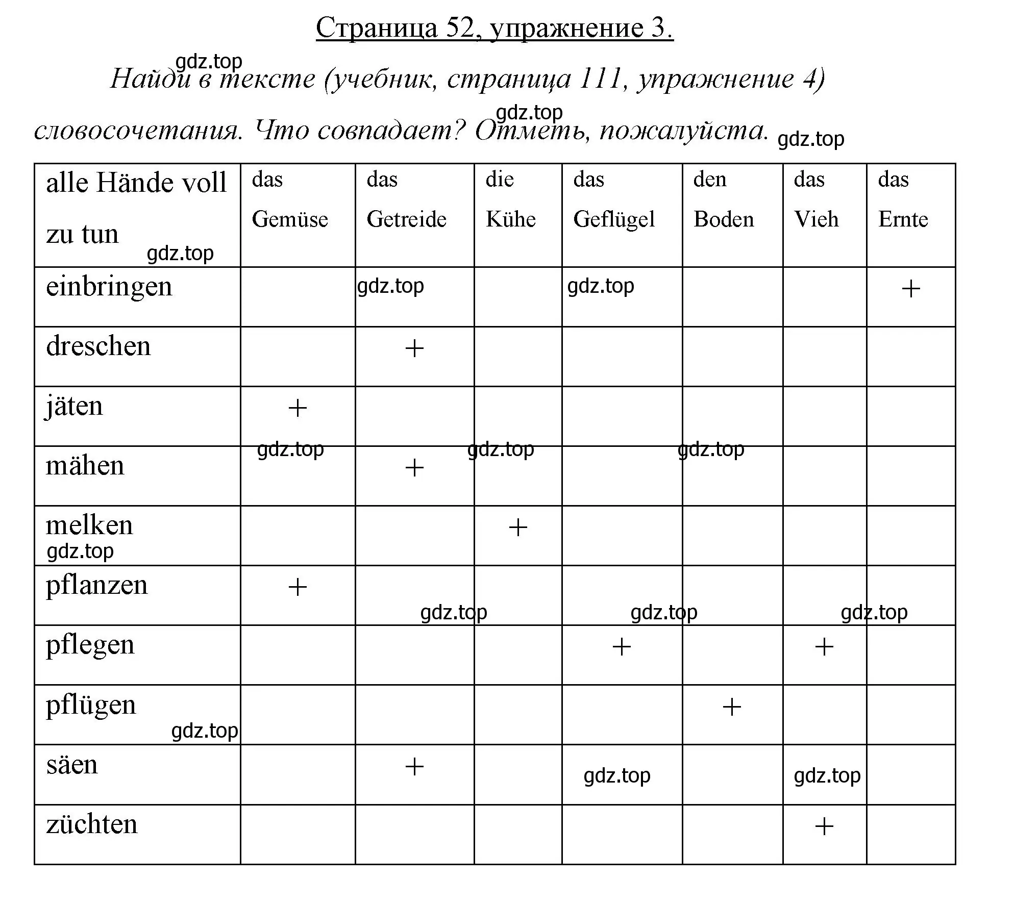 Решение номер 3 (страница 52) гдз по немецкому языку 7 класс Бим, Садомова, рабочая тетрадь