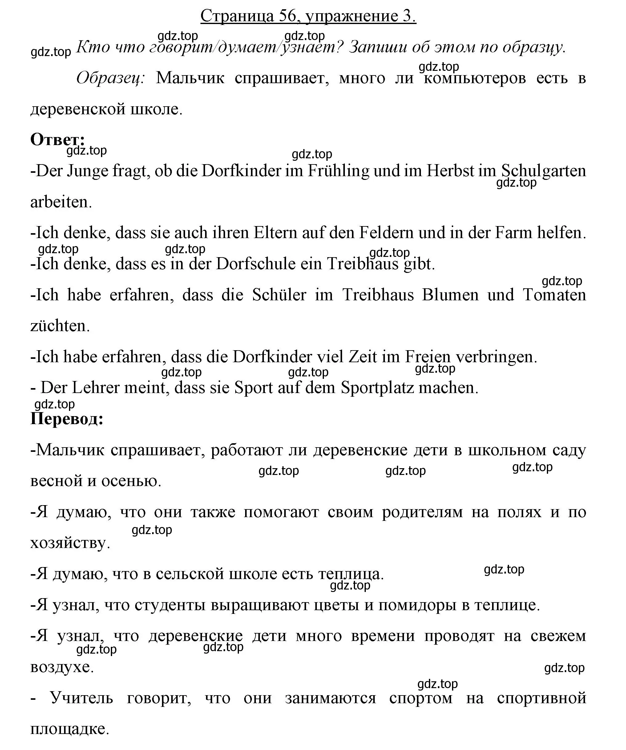 Решение номер 3 (страница 56) гдз по немецкому языку 7 класс Бим, Садомова, рабочая тетрадь