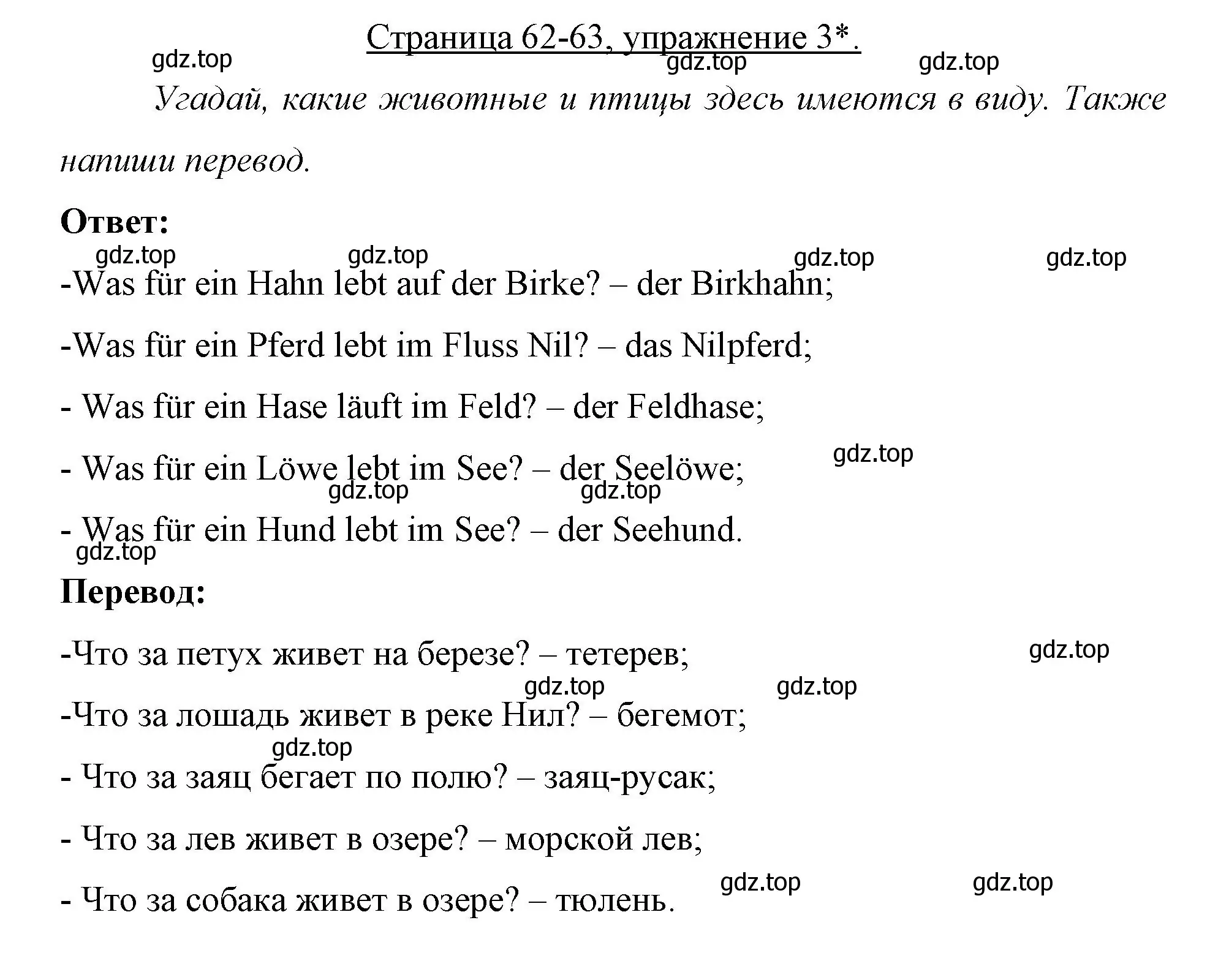 Решение номер 3 (страница 62) гдз по немецкому языку 7 класс Бим, Садомова, рабочая тетрадь