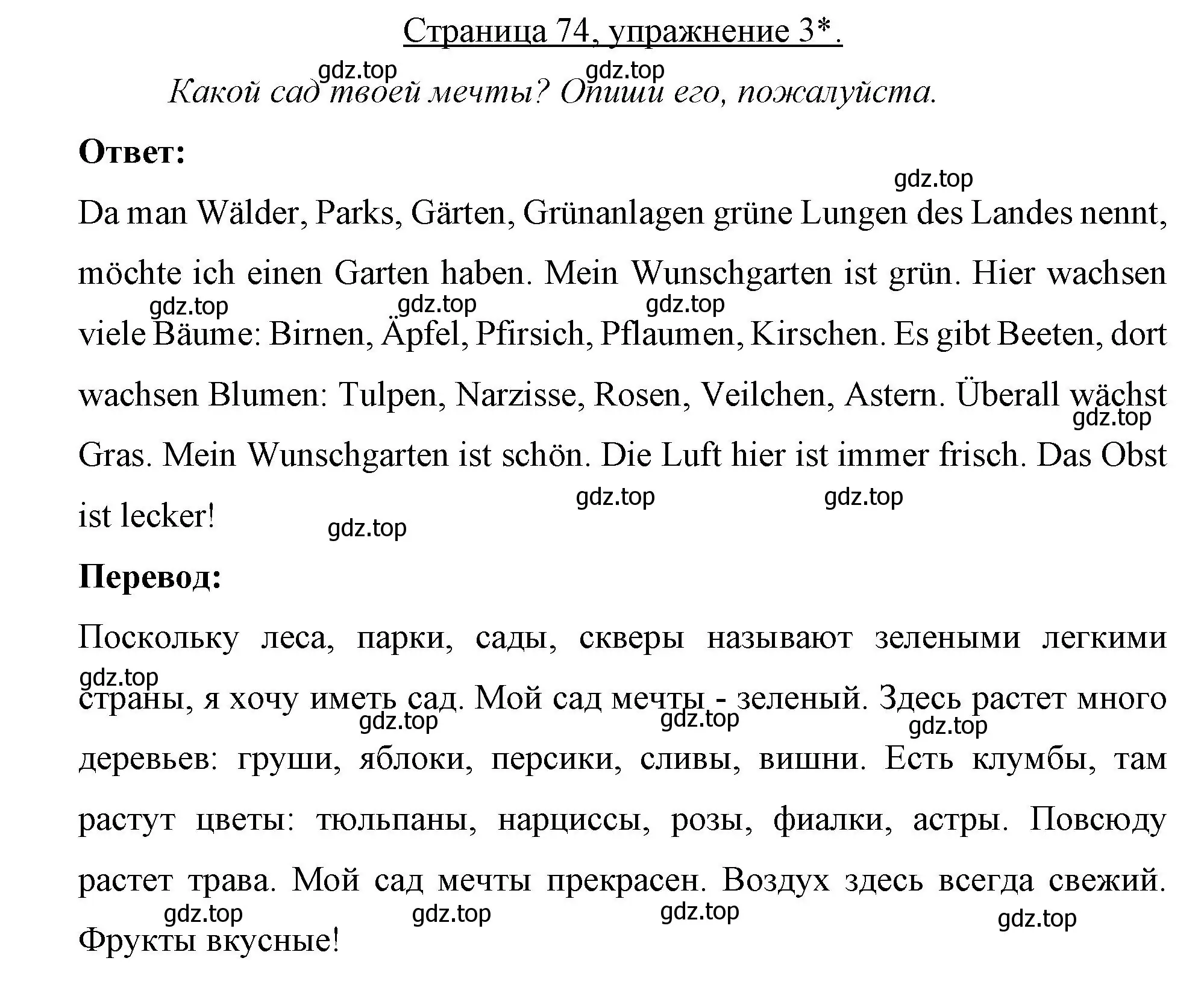 Решение номер 3 (страница 74) гдз по немецкому языку 7 класс Бим, Садомова, рабочая тетрадь