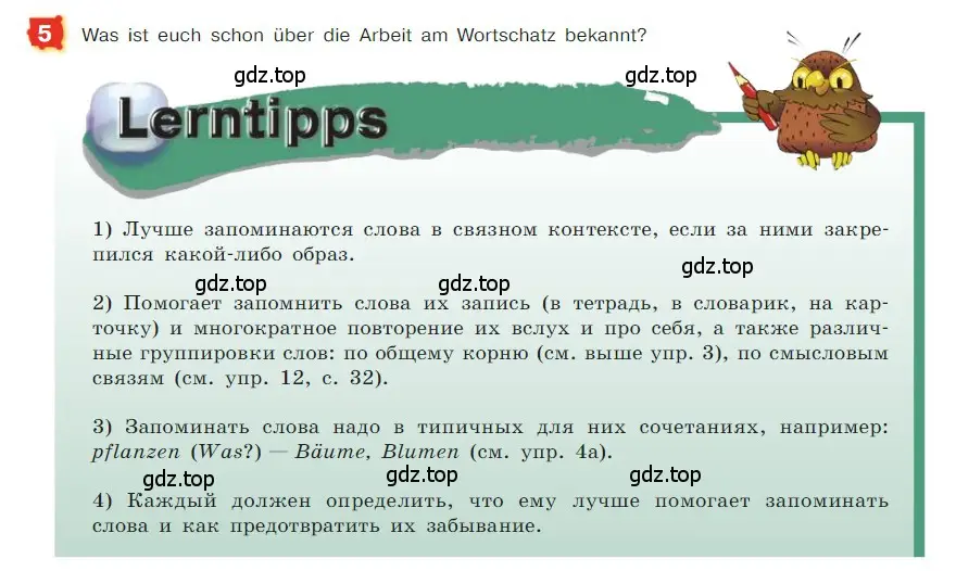 Условие номер 5 (страница 29) гдз по немецкому языку 7 класс Бим, Садомова, учебник