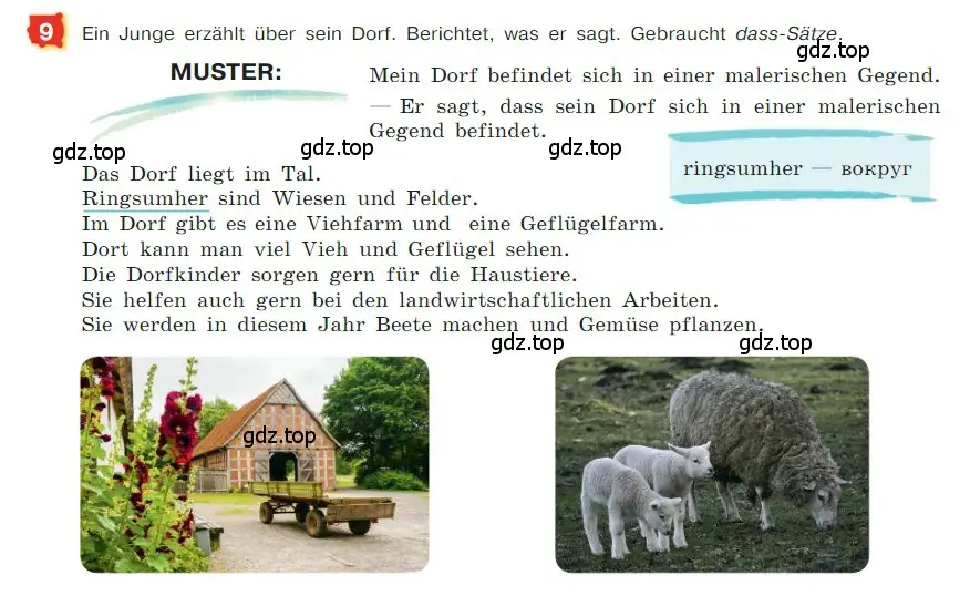 Условие номер 9 (страница 124) гдз по немецкому языку 7 класс Бим, Садомова, учебник