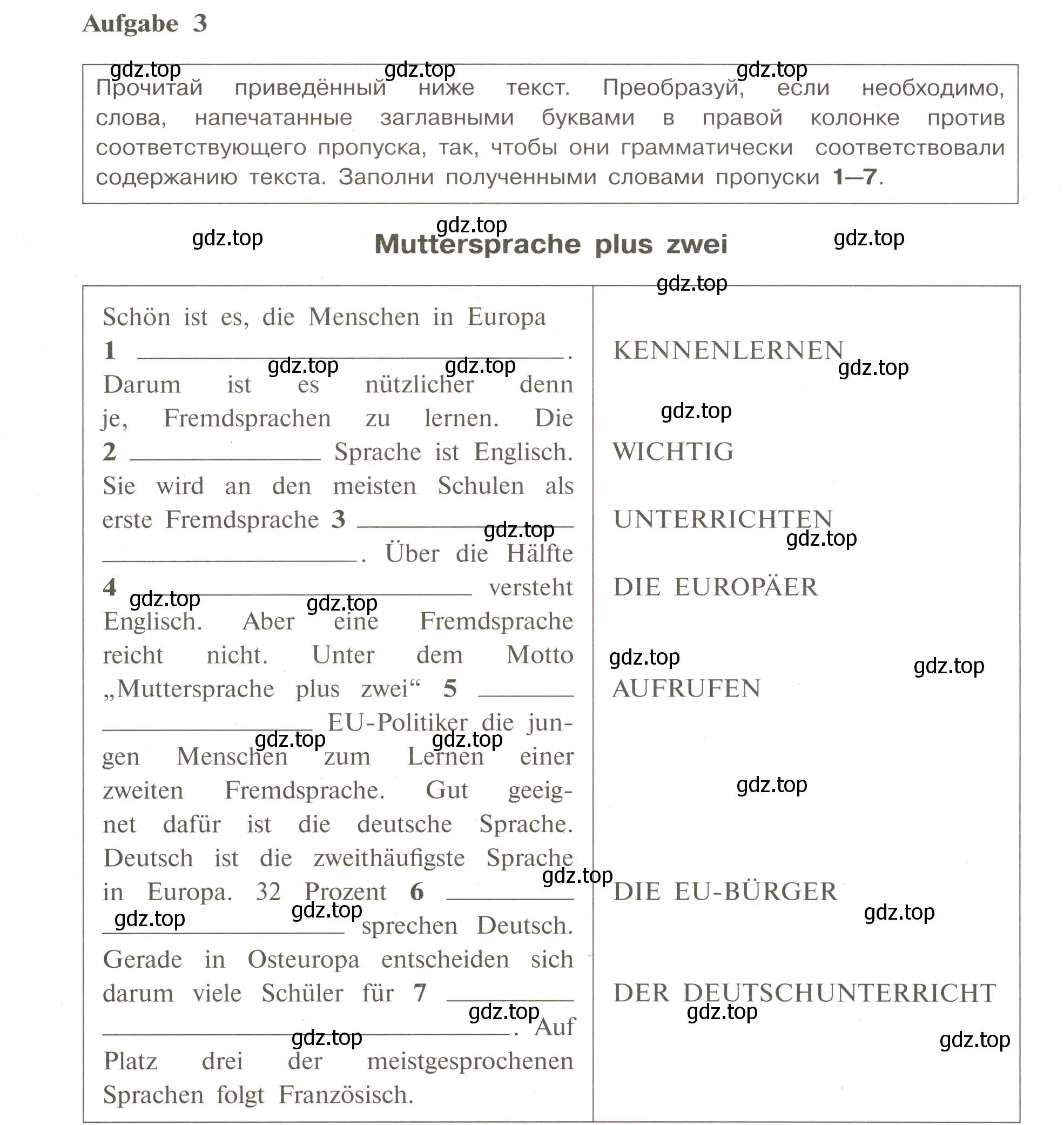 Условие номер 3 (страница 41) гдз по немецкому языку 9 класс Бим, Лытаева, рабочая тетрадь