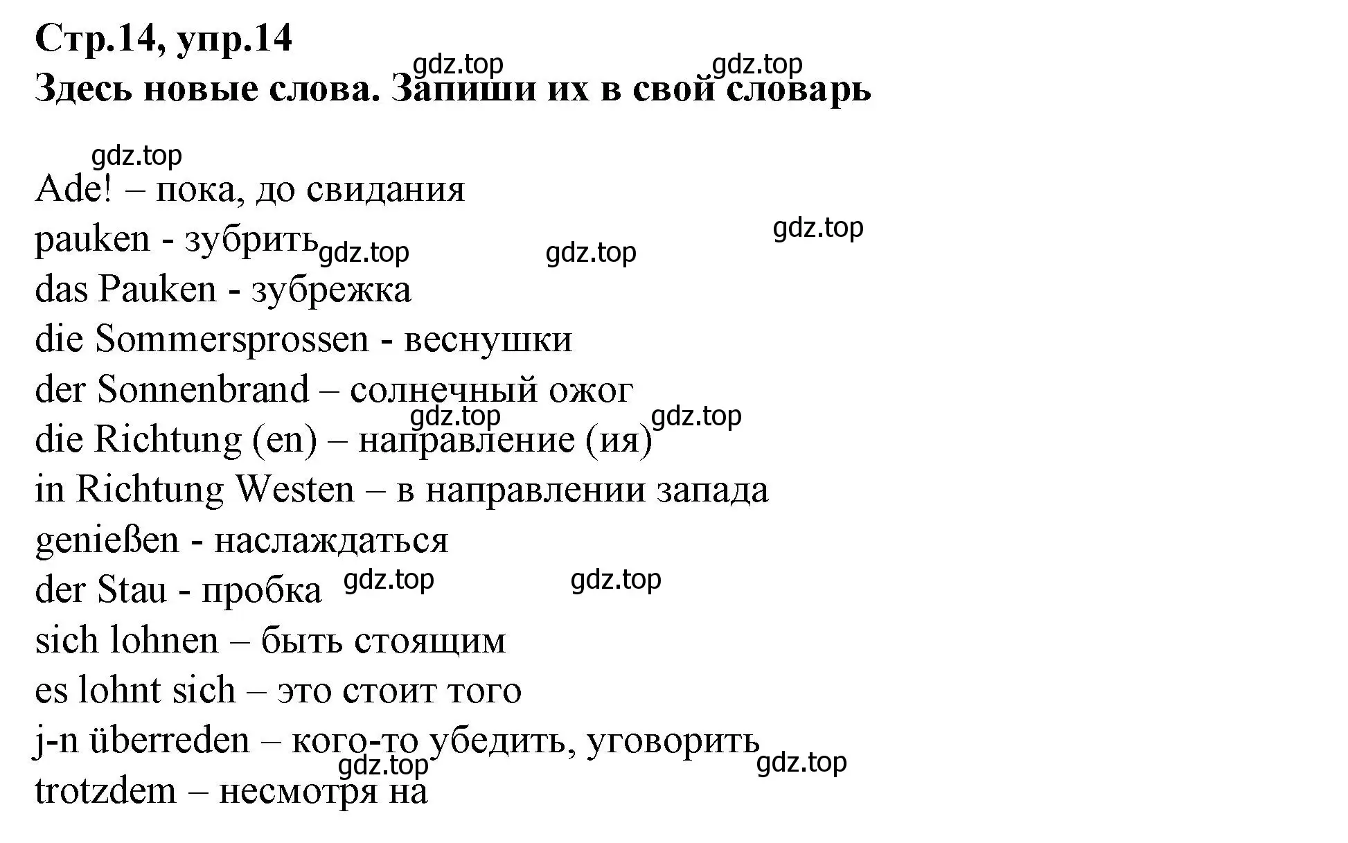 Решение номер 14 (страница 15) гдз по немецкому языку 9 класс Бим, Садомова, учебник