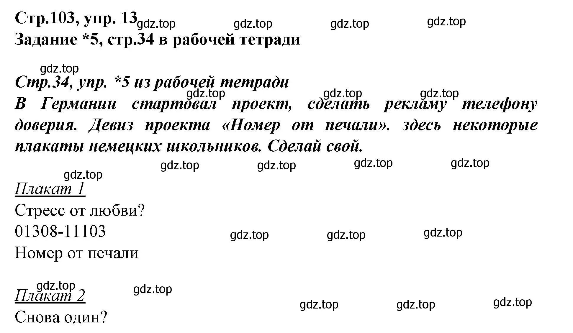 Решение номер 13 (страница 103) гдз по немецкому языку 9 класс Бим, Садомова, учебник