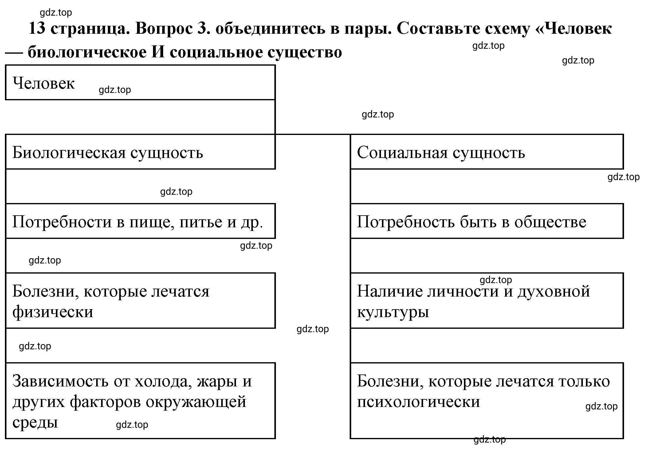 Решение 2. номер 3 (страница 13) гдз по обществознанию 6 класс Боголюбов, учебник