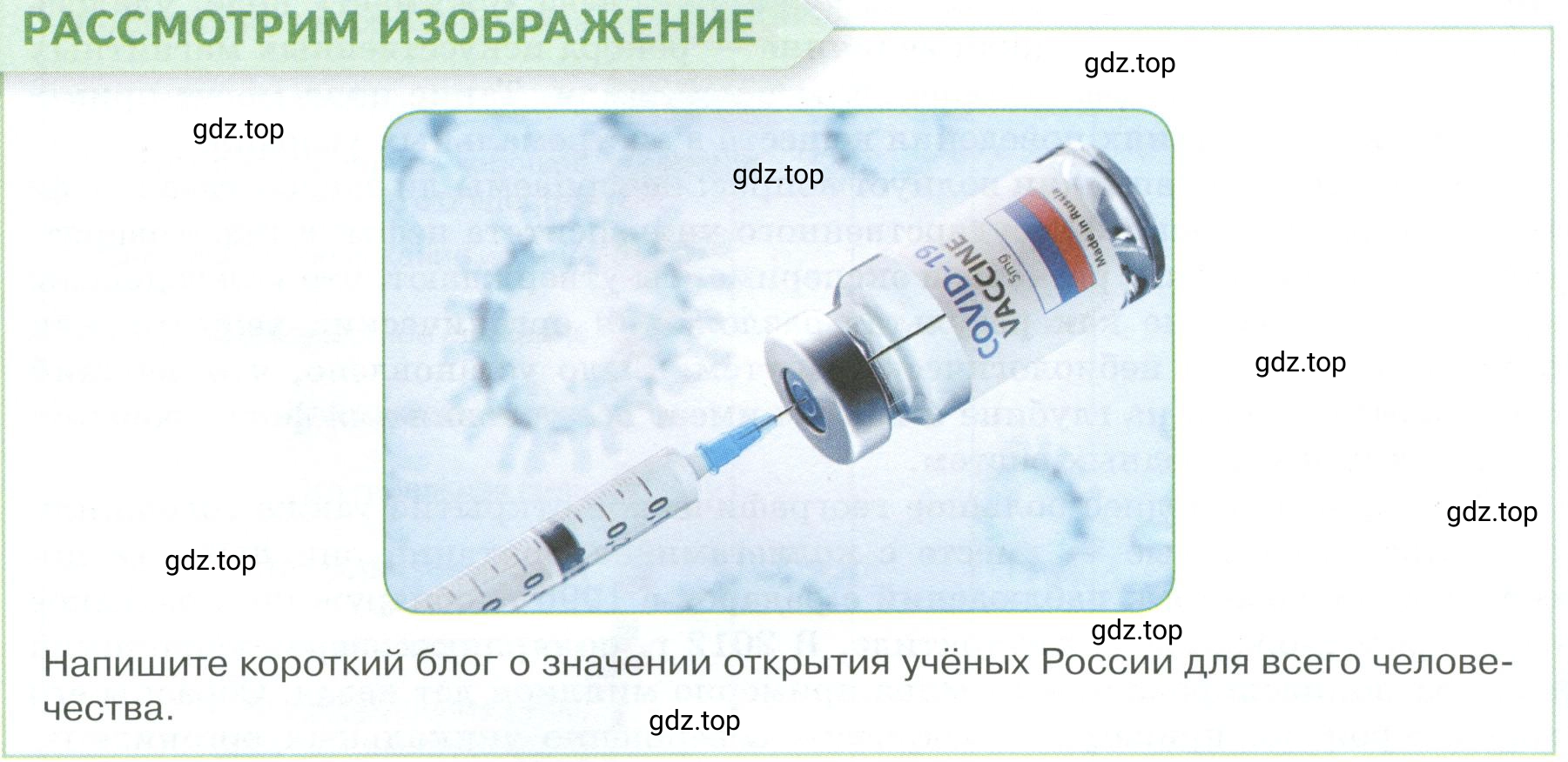 Условие  Рассмотрим Изображение (страница 40) гдз по обществознанию 8 класс Боголюбов, Городецкая, учебник