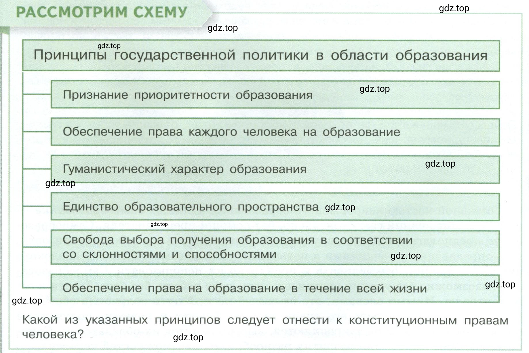 Условие  Рассмотрим схему (страница 48) гдз по обществознанию 8 класс Боголюбов, Городецкая, учебник