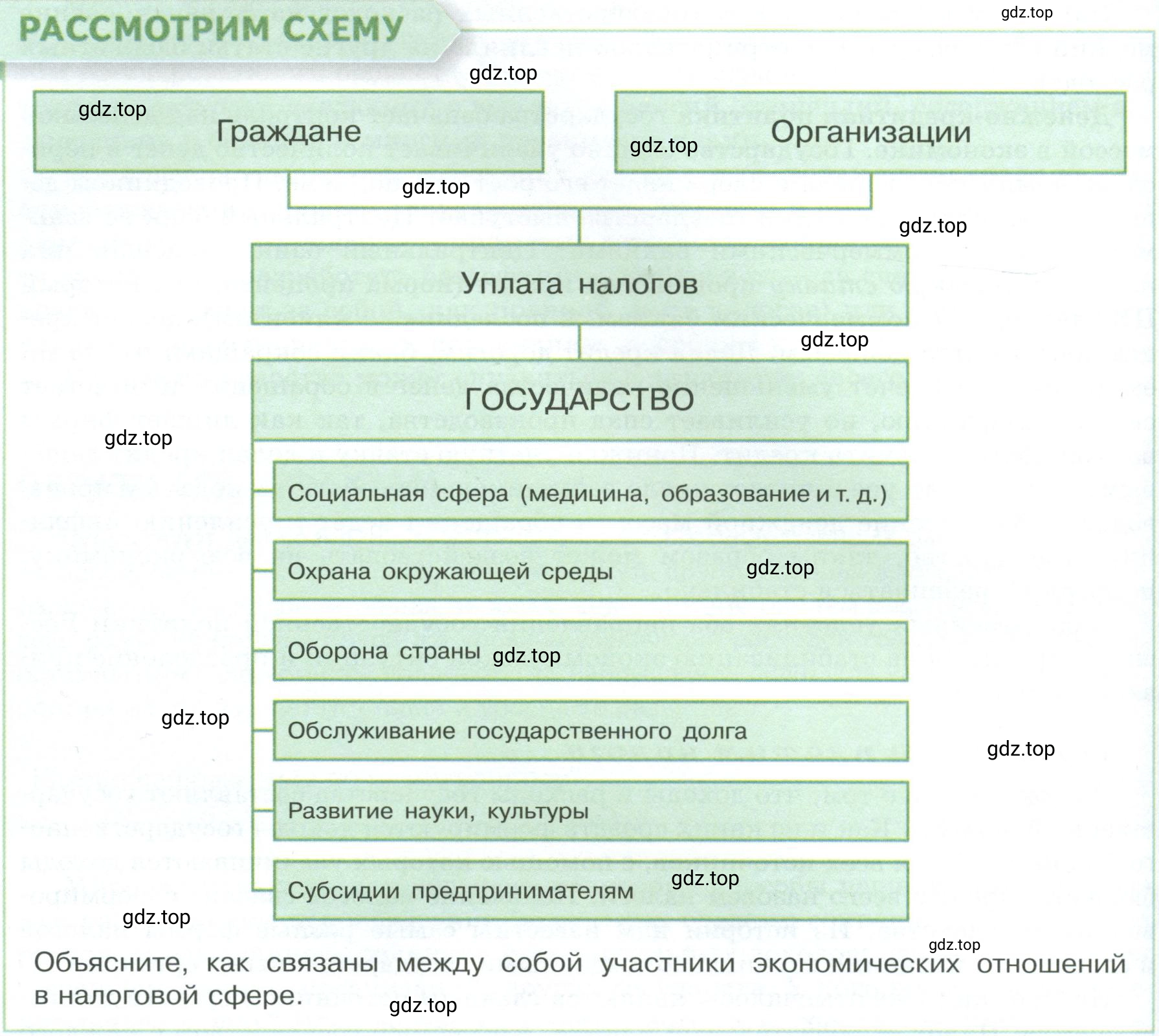 Условие  Рассмотрим схему (страница 196) гдз по обществознанию 8 класс Боголюбов, Городецкая, учебник