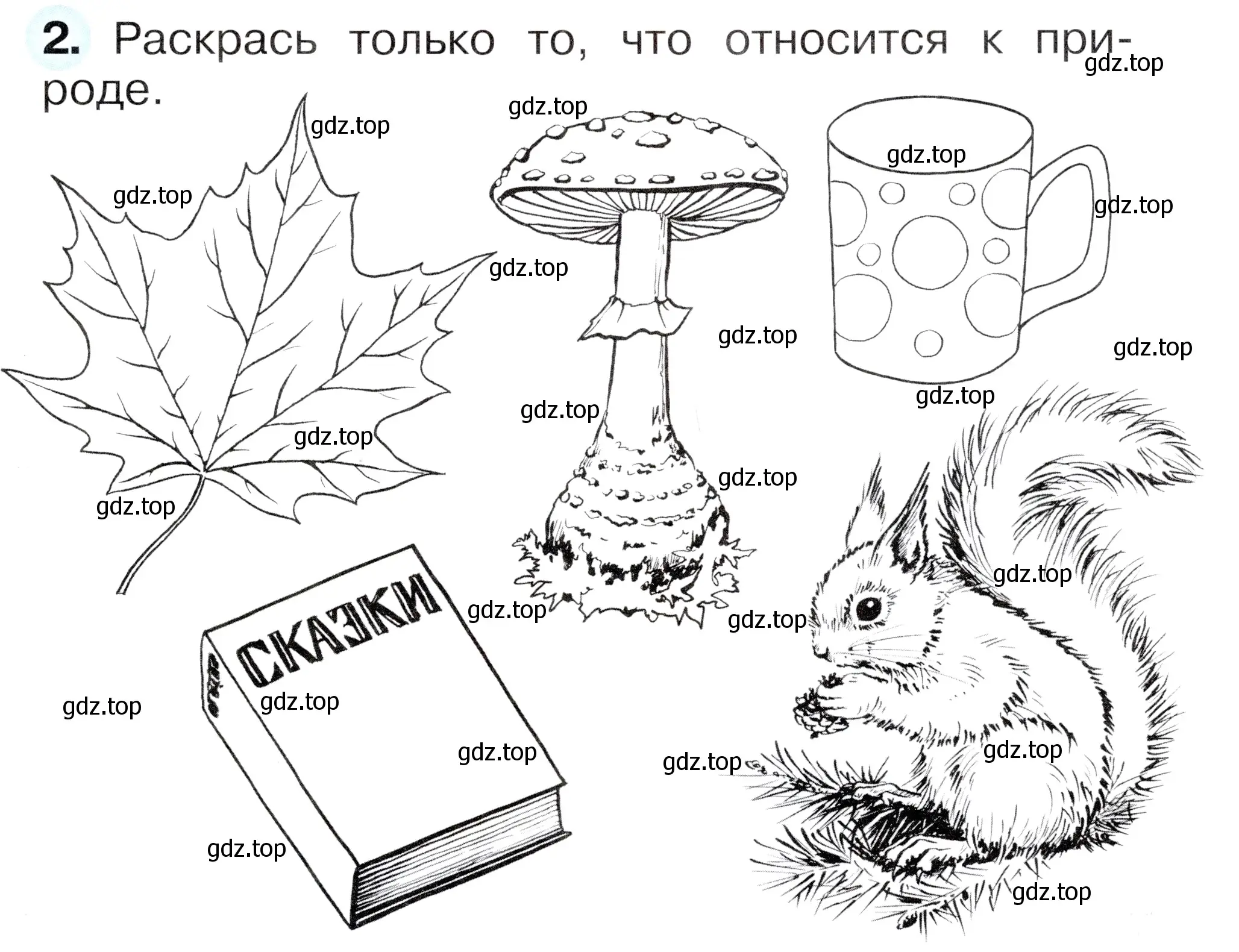 Условие номер 2 (страница 7) гдз по окружающему миру 1 класс Плешаков, Новицкая, рабочая тетрадь 1 часть