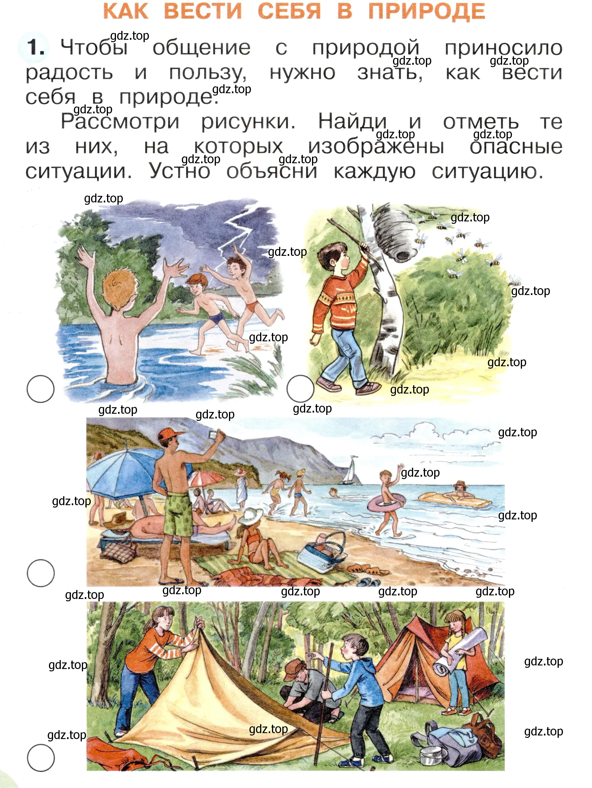 Условие номер 1 (страница 8) гдз по окружающему миру 1 класс Плешаков, Новицкая, рабочая тетрадь 1 часть