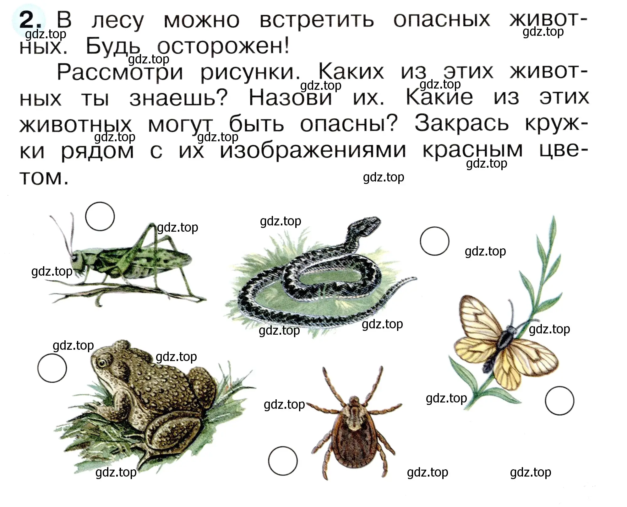 Условие номер 2 (страница 9) гдз по окружающему миру 1 класс Плешаков, Новицкая, рабочая тетрадь 1 часть