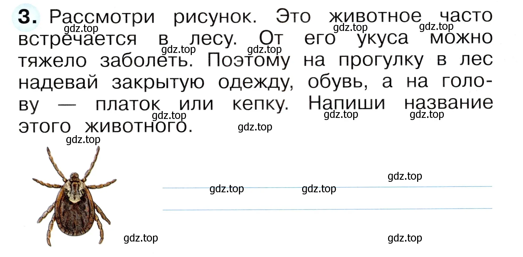 Условие номер 3 (страница 9) гдз по окружающему миру 1 класс Плешаков, Новицкая, рабочая тетрадь 1 часть