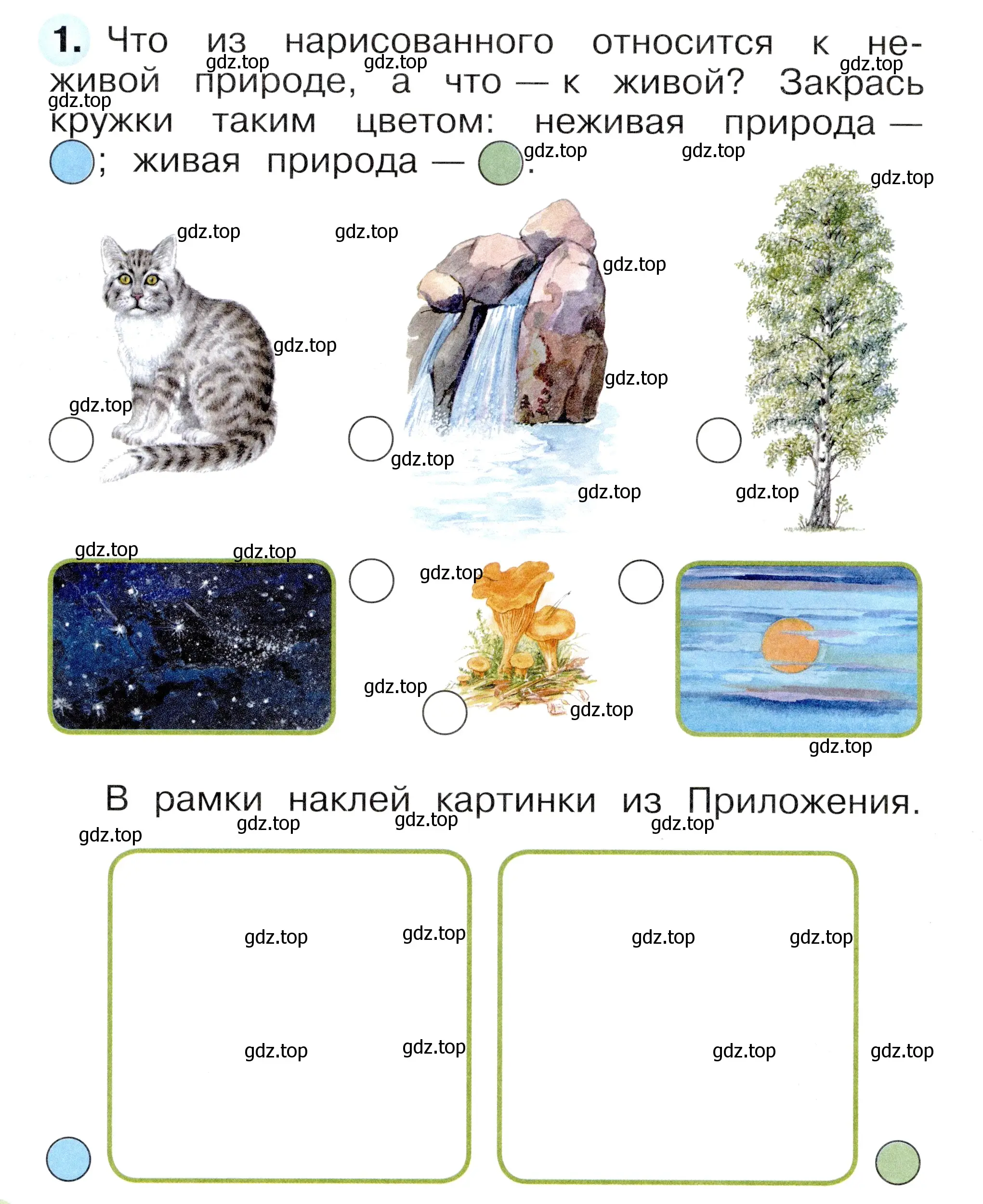 Условие номер 1 (страница 10) гдз по окружающему миру 1 класс Плешаков, Новицкая, рабочая тетрадь 1 часть