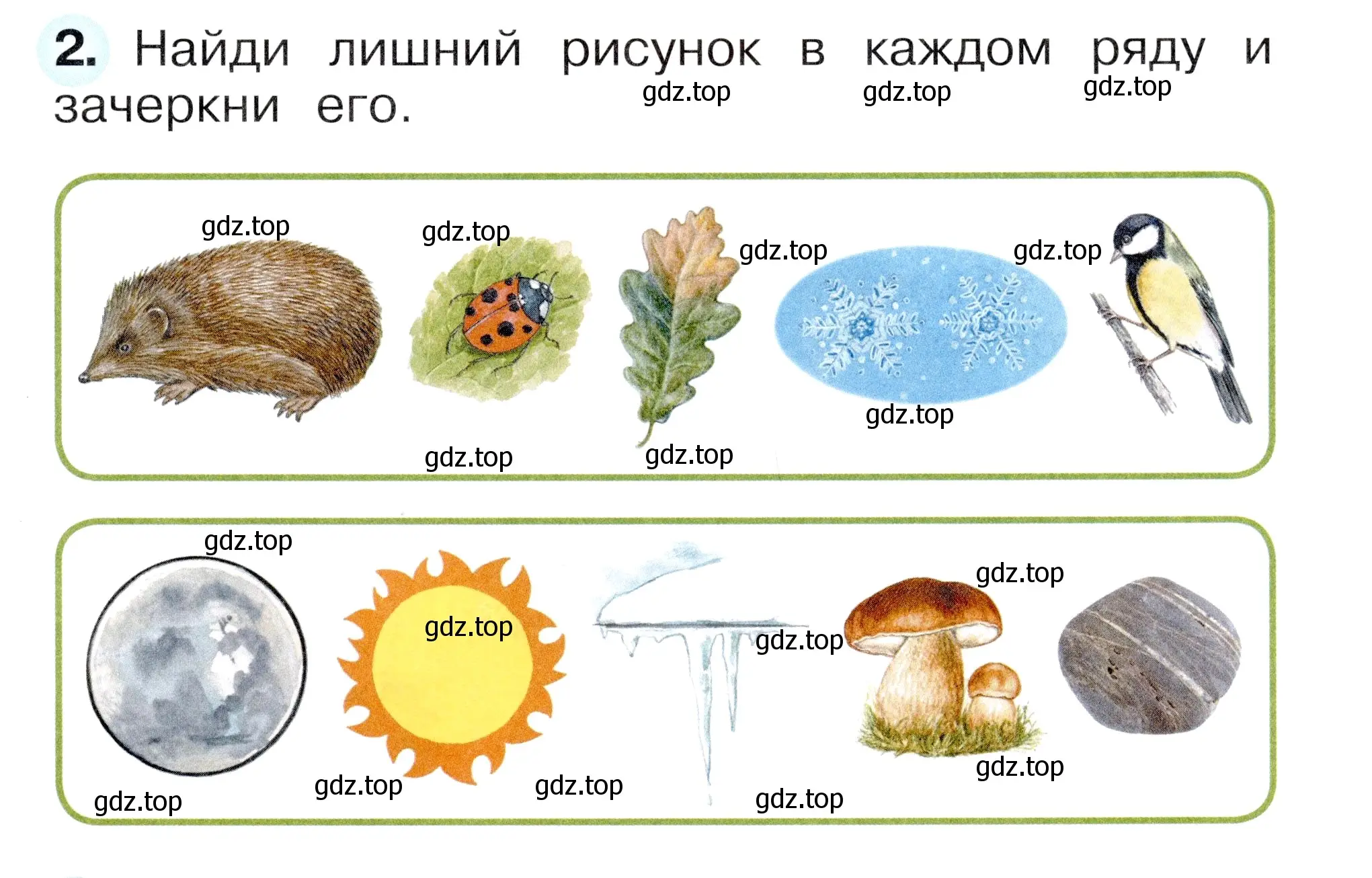 Условие номер 2 (страница 11) гдз по окружающему миру 1 класс Плешаков, Новицкая, рабочая тетрадь 1 часть