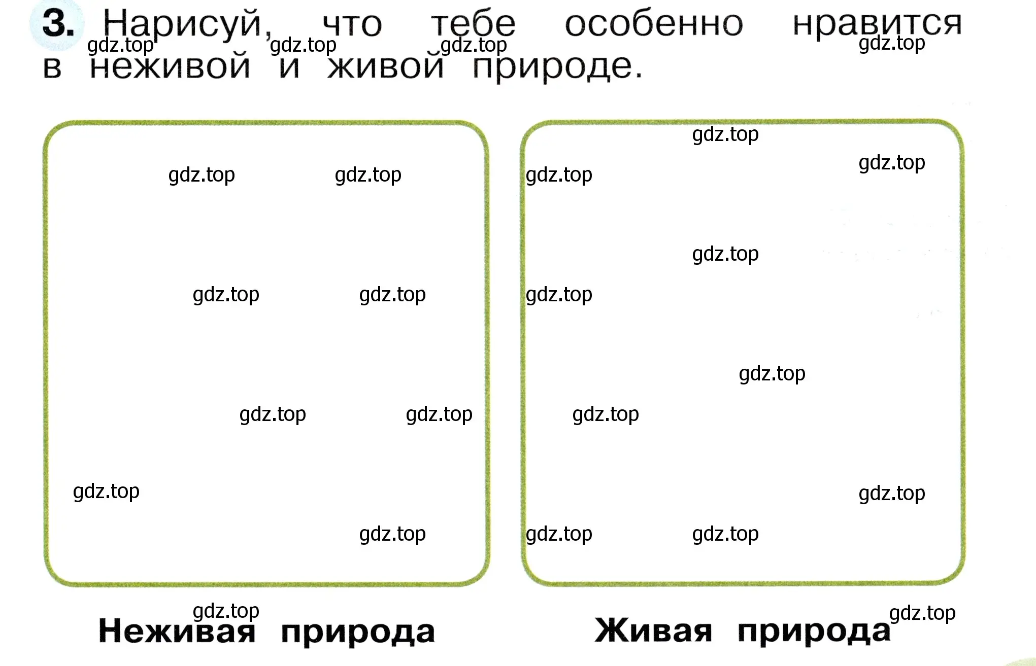 Условие номер 3 (страница 11) гдз по окружающему миру 1 класс Плешаков, Новицкая, рабочая тетрадь 1 часть