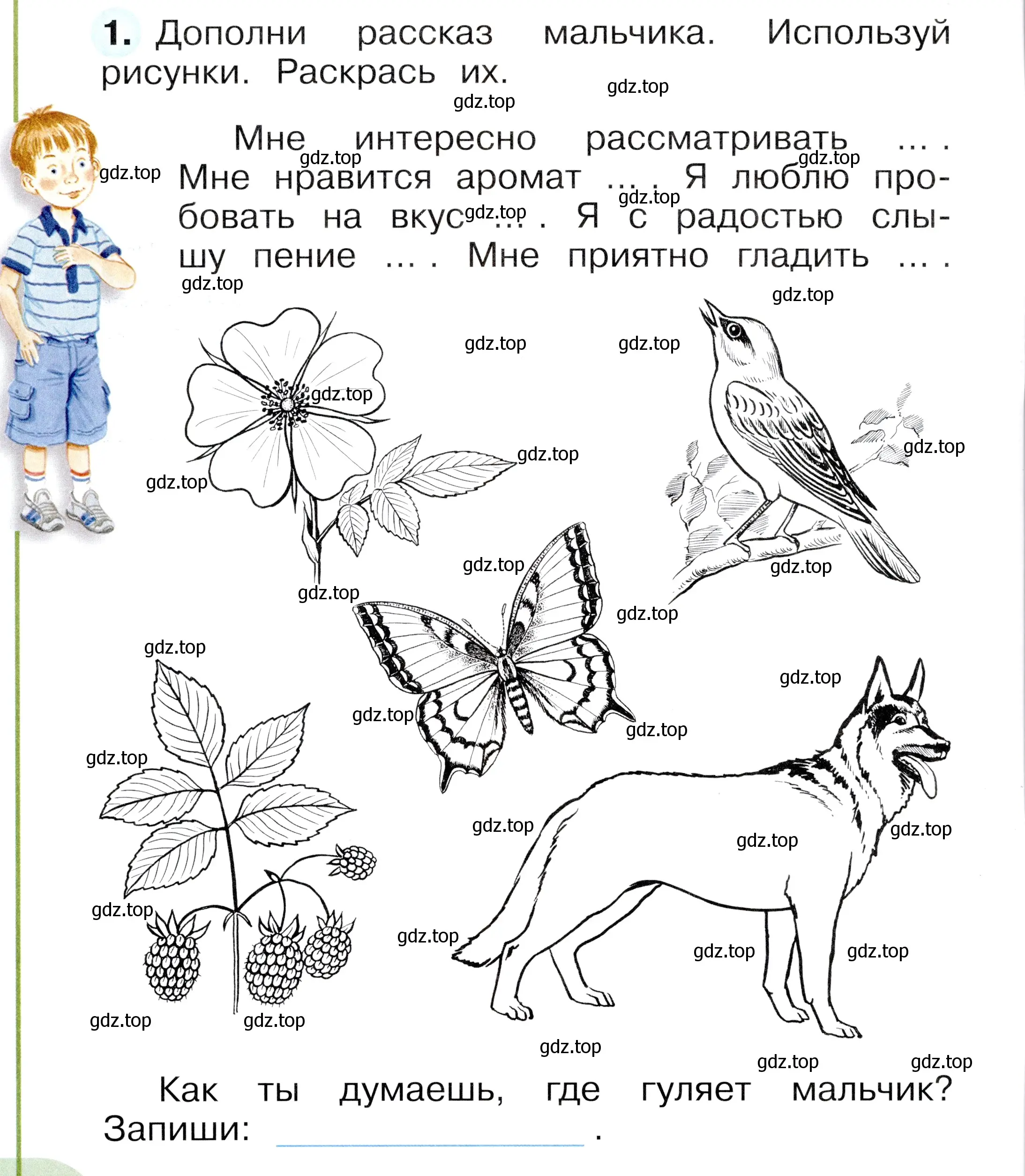 Условие номер 1 (страница 18) гдз по окружающему миру 1 класс Плешаков, Новицкая, рабочая тетрадь 1 часть