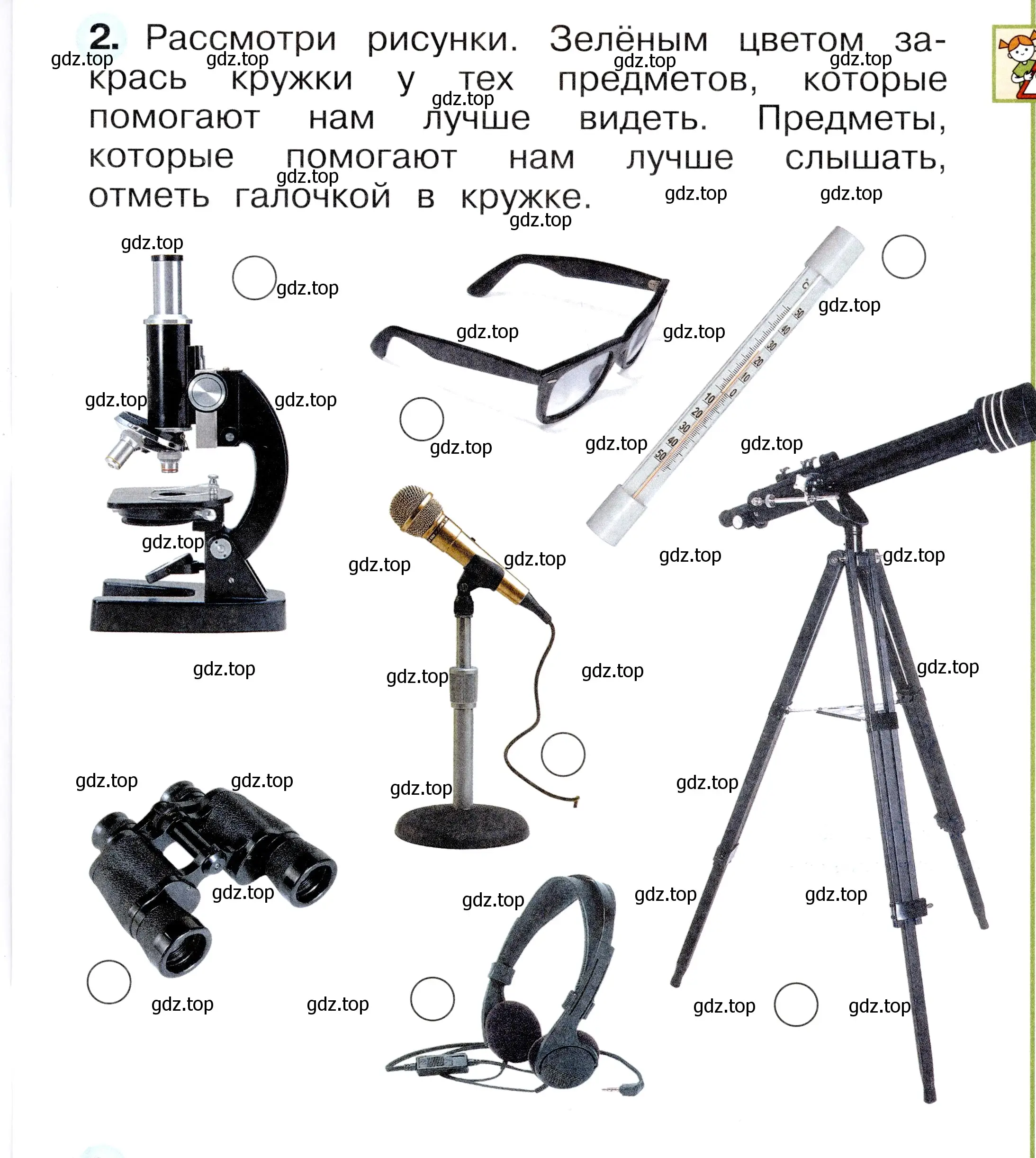 Условие номер 2 (страница 19) гдз по окружающему миру 1 класс Плешаков, Новицкая, рабочая тетрадь 1 часть