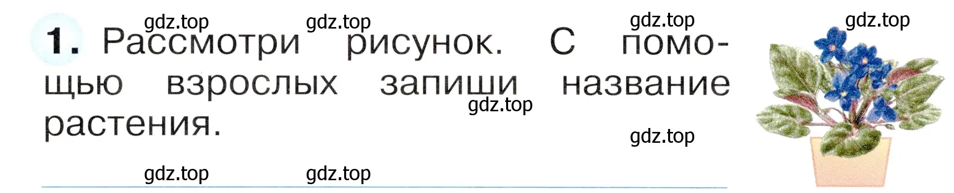 Условие номер 1 (страница 28) гдз по окружающему миру 1 класс Плешаков, Новицкая, рабочая тетрадь 1 часть