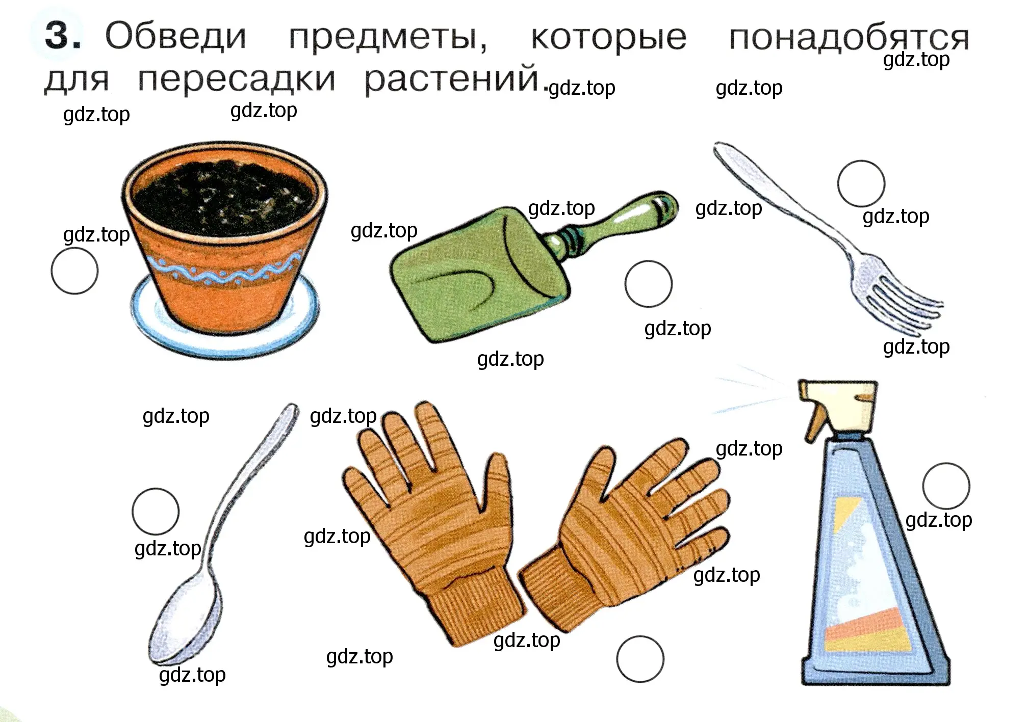 Условие номер 3 (страница 28) гдз по окружающему миру 1 класс Плешаков, Новицкая, рабочая тетрадь 1 часть