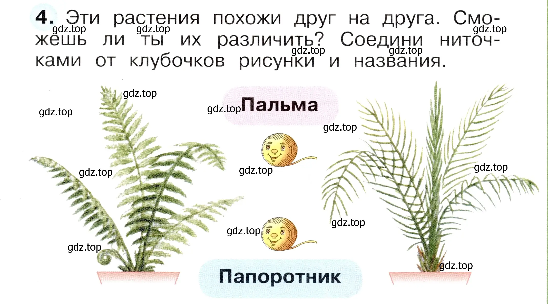 Условие номер 4 (страница 29) гдз по окружающему миру 1 класс Плешаков, Новицкая, рабочая тетрадь 1 часть