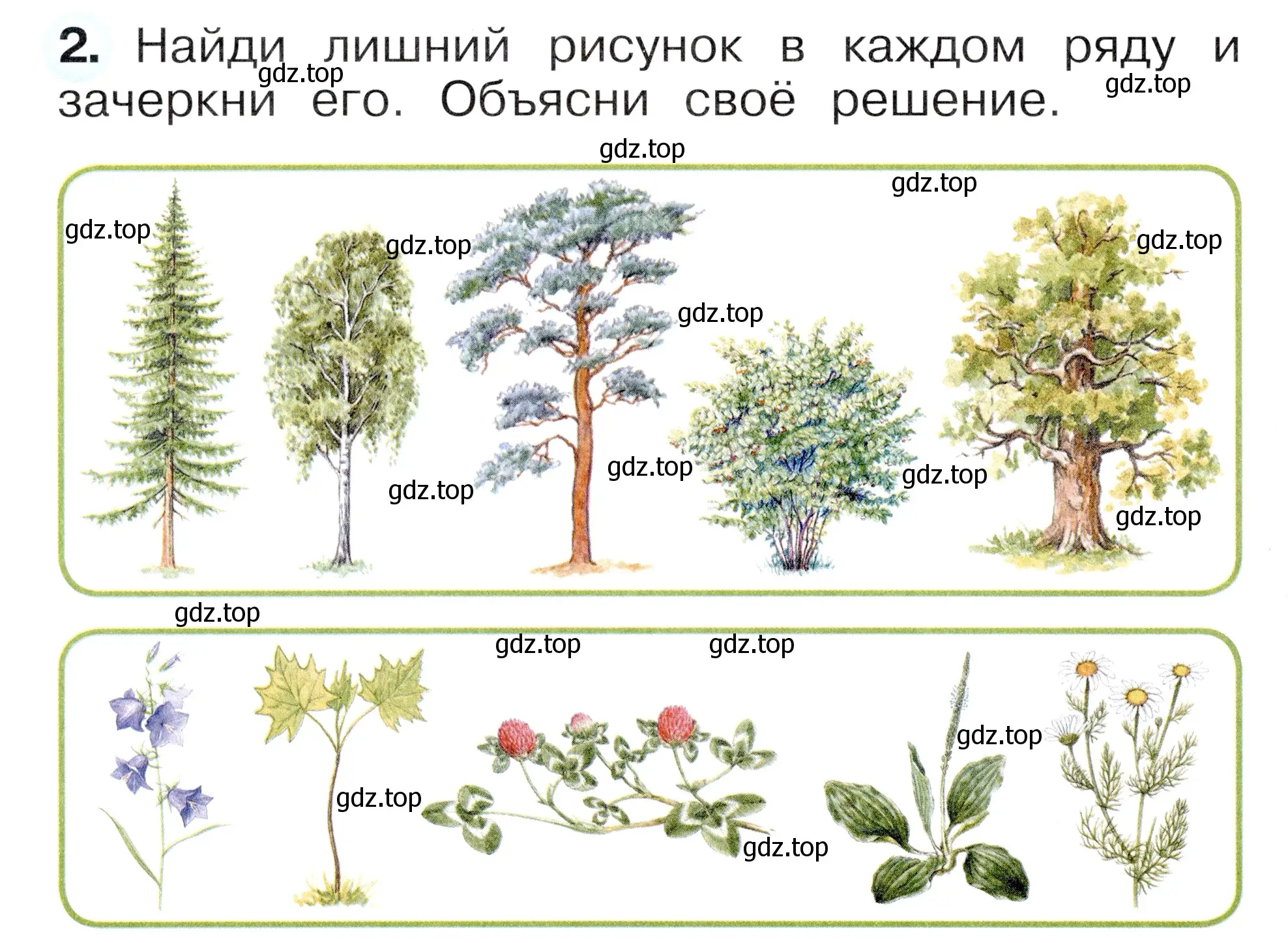 Условие номер 2 (страница 30) гдз по окружающему миру 1 класс Плешаков, Новицкая, рабочая тетрадь 1 часть