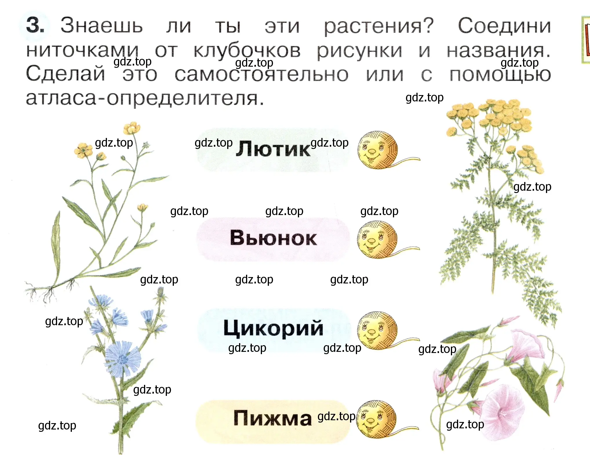 Условие номер 3 (страница 31) гдз по окружающему миру 1 класс Плешаков, Новицкая, рабочая тетрадь 1 часть