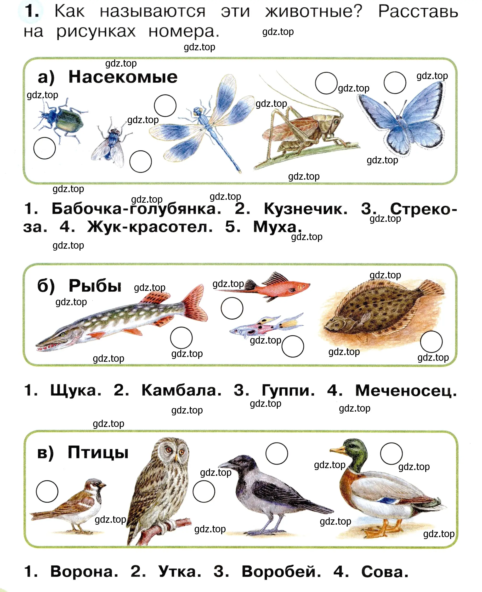 Условие номер 1 (страница 32) гдз по окружающему миру 1 класс Плешаков, Новицкая, рабочая тетрадь 1 часть