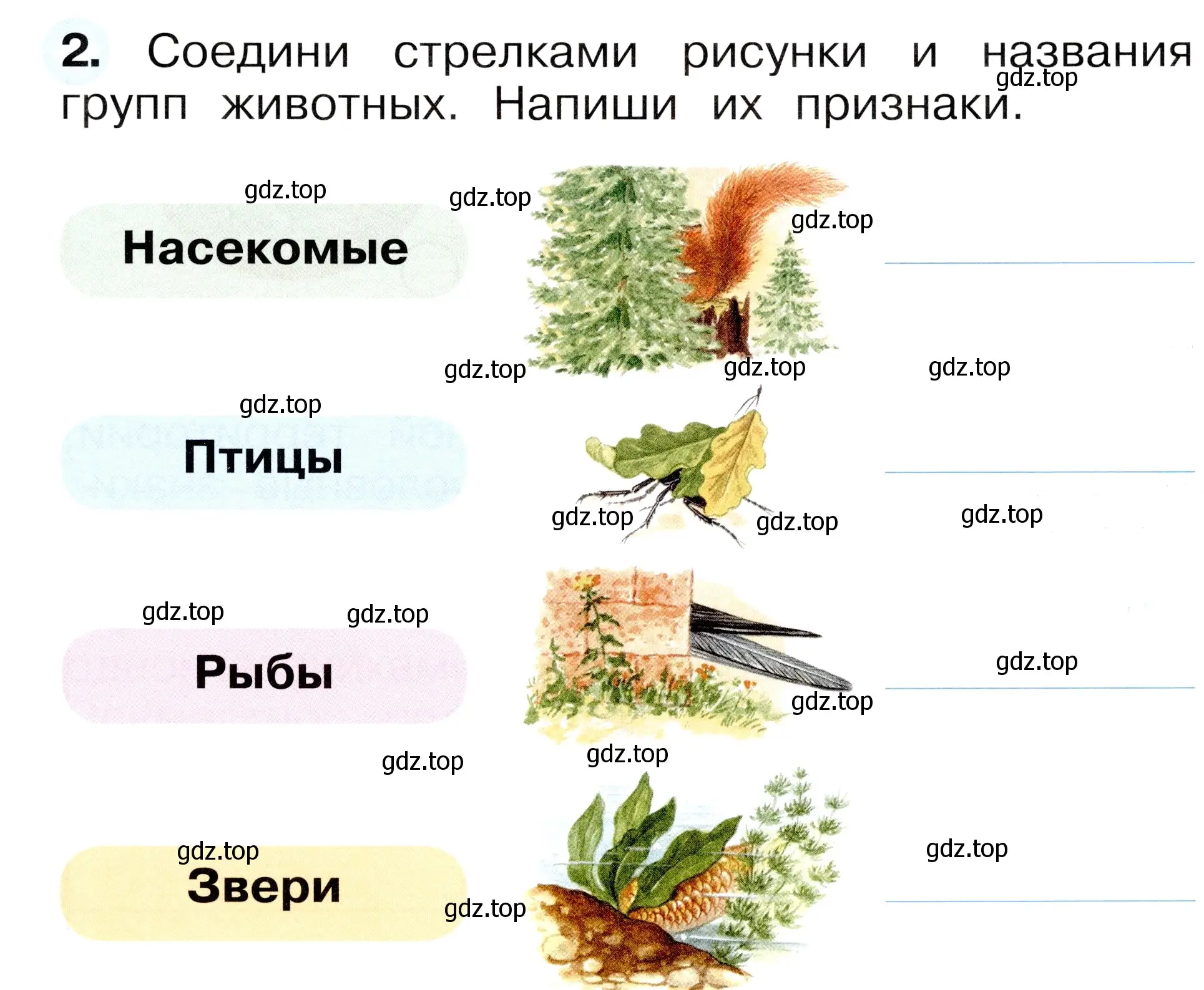 Условие номер 2 (страница 33) гдз по окружающему миру 1 класс Плешаков, Новицкая, рабочая тетрадь 1 часть