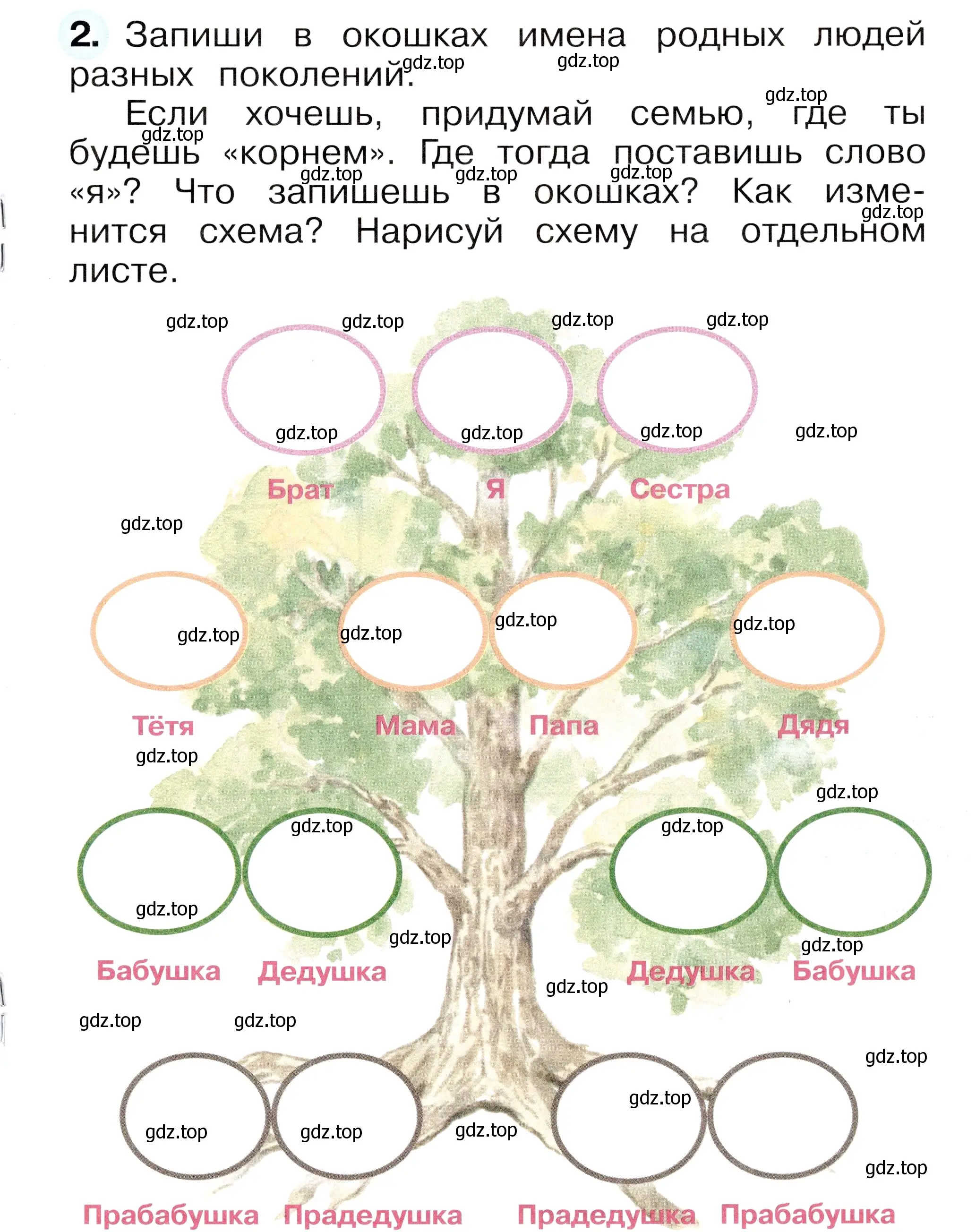 Условие номер 2 (страница 41) гдз по окружающему миру 1 класс Плешаков, Новицкая, рабочая тетрадь 1 часть