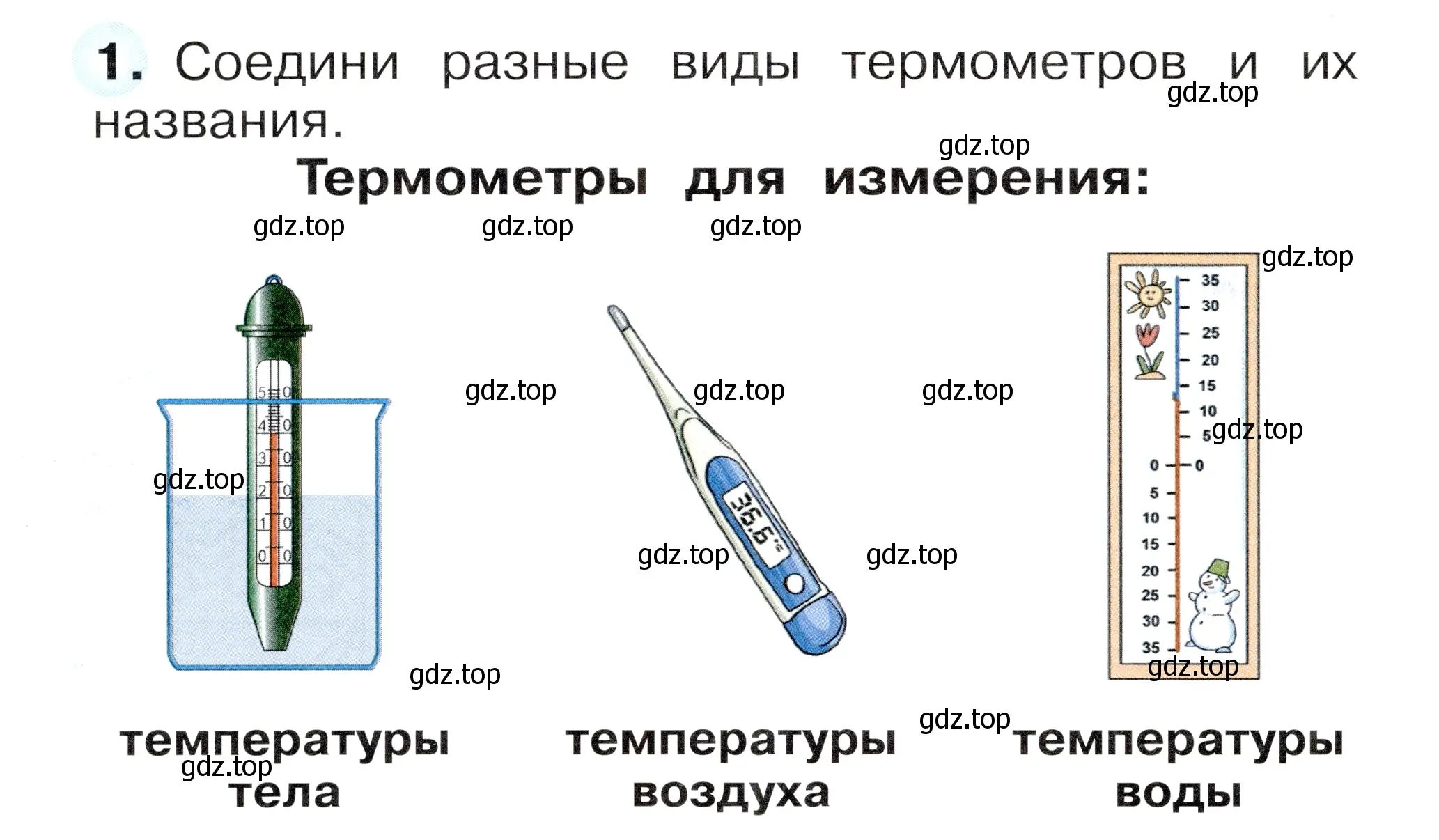 Условие номер 1 (страница 44) гдз по окружающему миру 1 класс Плешаков, Новицкая, рабочая тетрадь 1 часть