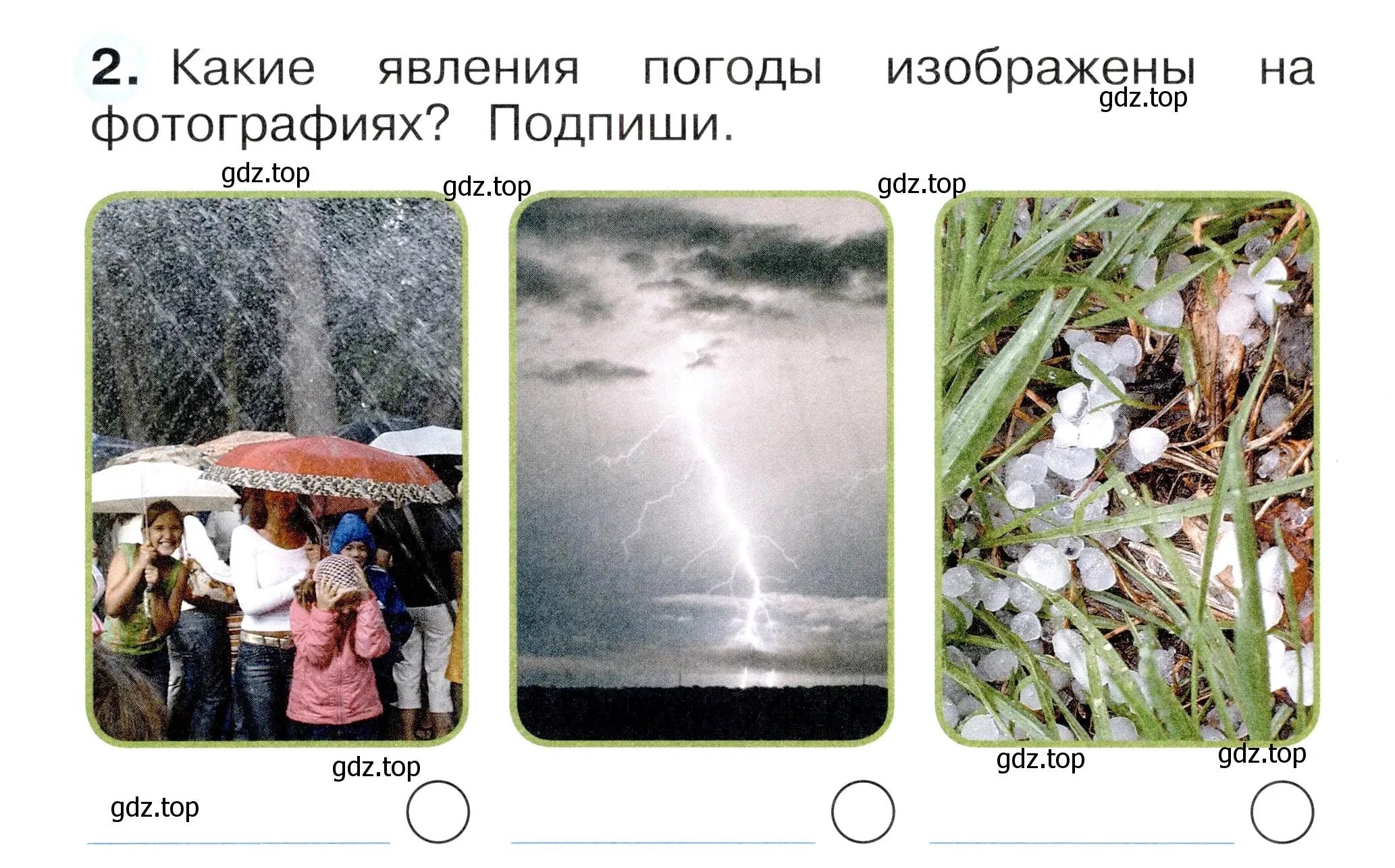 Условие номер 2 (страница 44) гдз по окружающему миру 1 класс Плешаков, Новицкая, рабочая тетрадь 1 часть