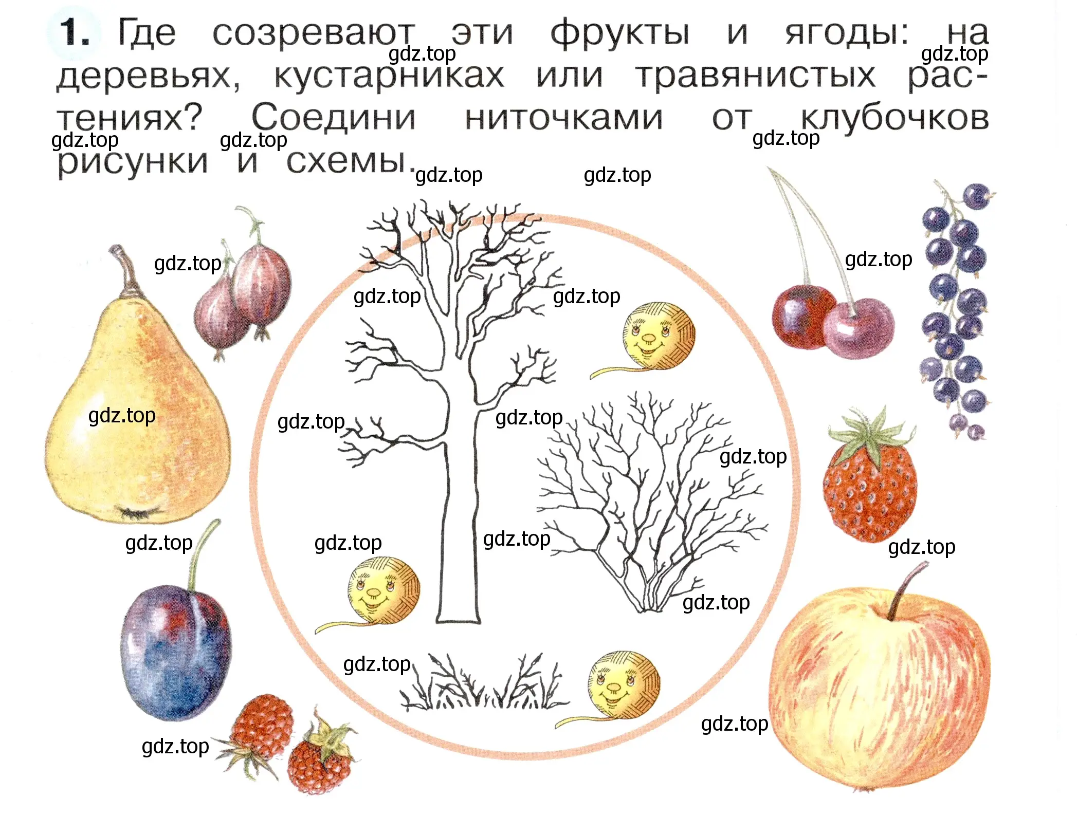 Условие номер 1 (страница 52) гдз по окружающему миру 1 класс Плешаков, Новицкая, рабочая тетрадь 1 часть