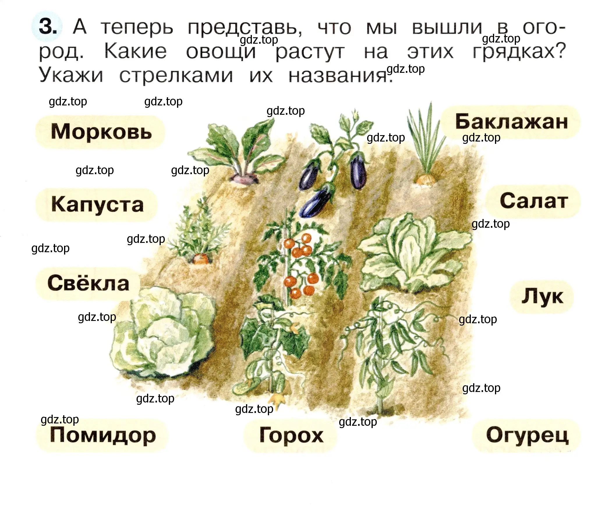 Условие номер 3 (страница 53) гдз по окружающему миру 1 класс Плешаков, Новицкая, рабочая тетрадь 1 часть