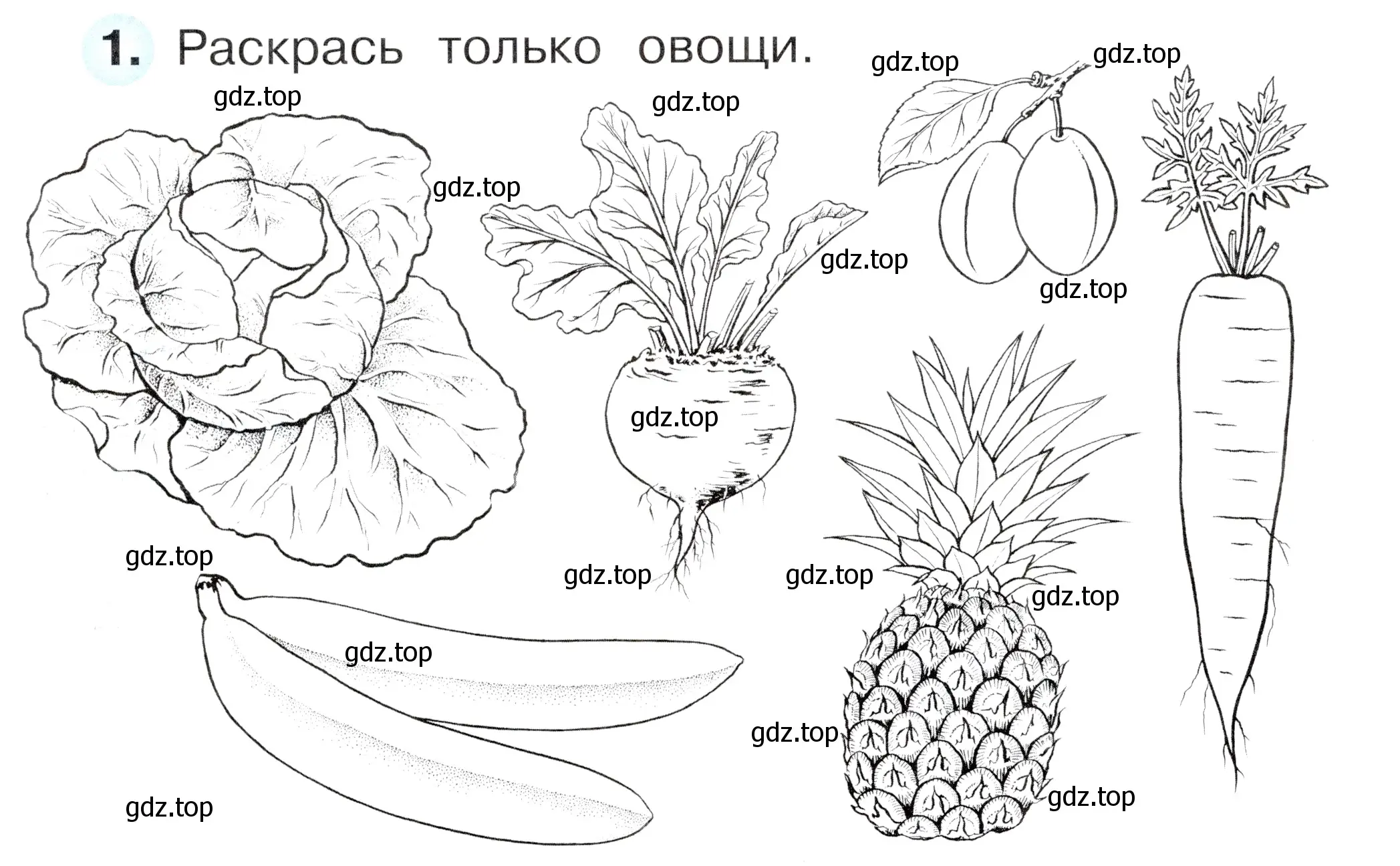 Условие номер 1 (страница 54) гдз по окружающему миру 1 класс Плешаков, Новицкая, рабочая тетрадь 1 часть