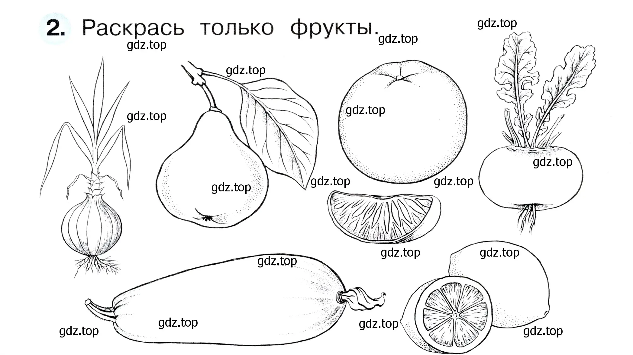 Условие номер 2 (страница 54) гдз по окружающему миру 1 класс Плешаков, Новицкая, рабочая тетрадь 1 часть