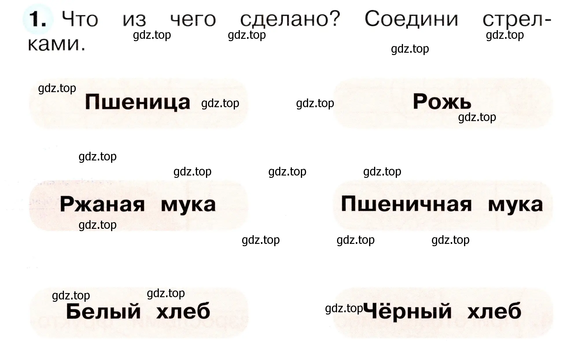 Условие номер 1 (страница 56) гдз по окружающему миру 1 класс Плешаков, Новицкая, рабочая тетрадь 1 часть