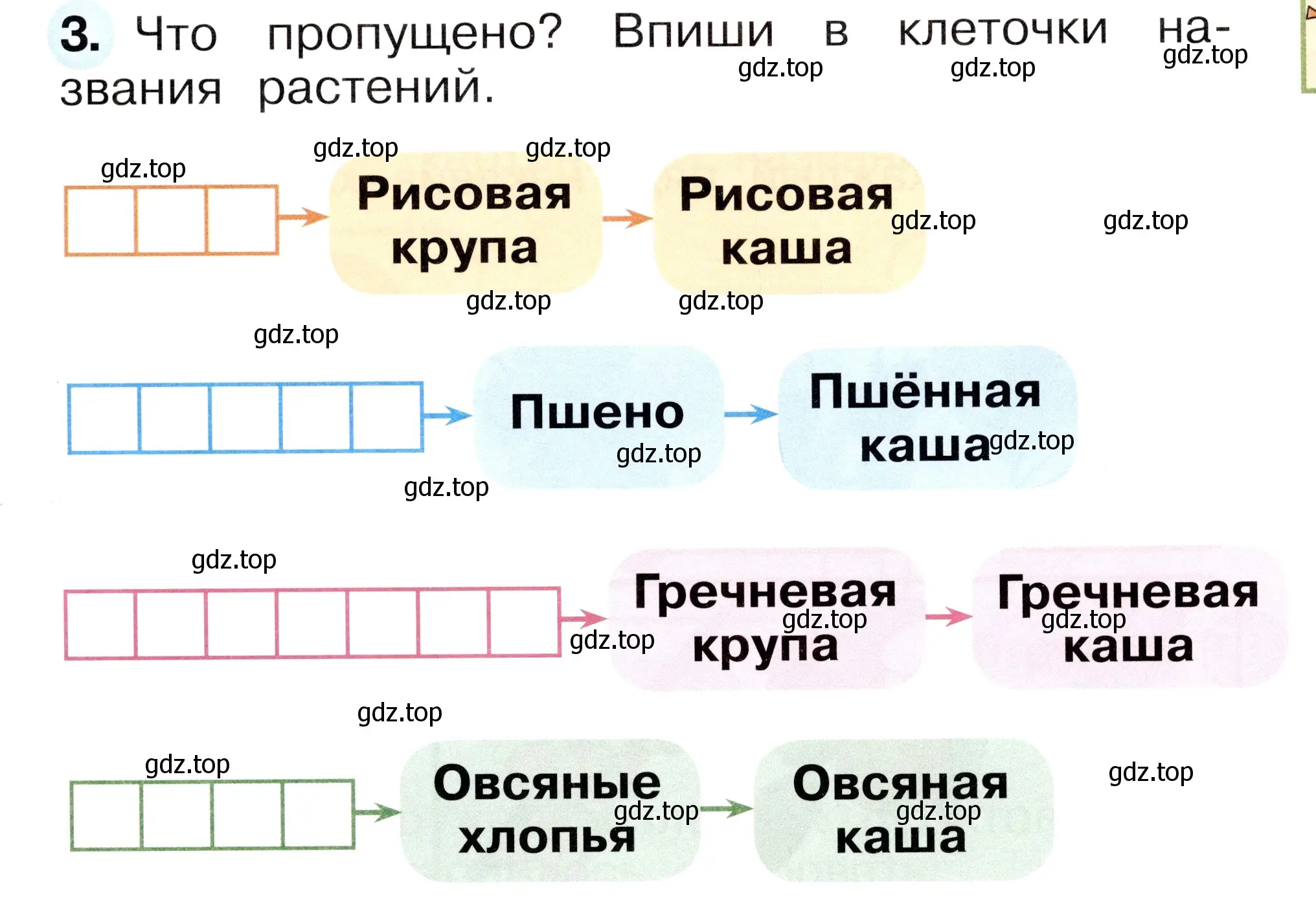 Условие номер 3 (страница 57) гдз по окружающему миру 1 класс Плешаков, Новицкая, рабочая тетрадь 1 часть