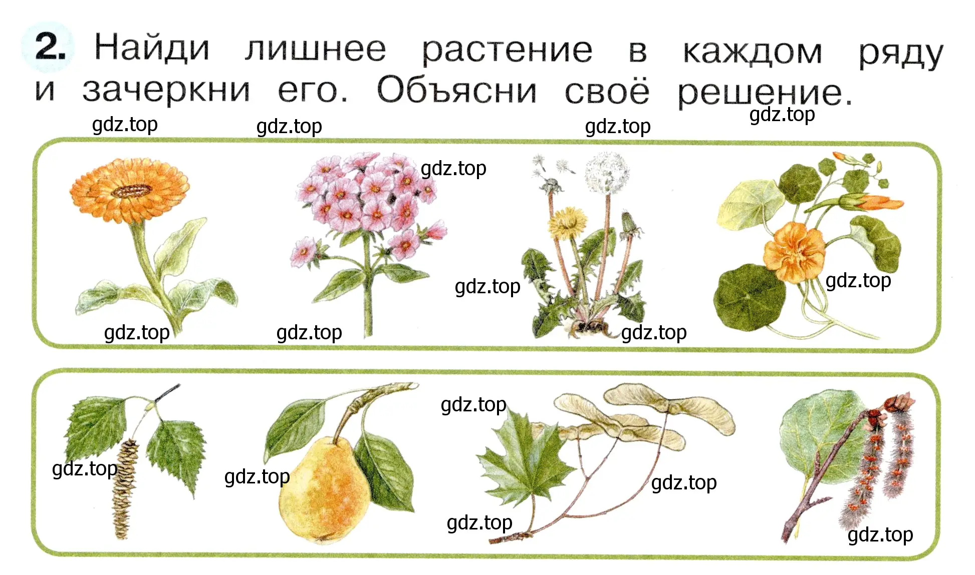 Условие номер 2 (страница 58) гдз по окружающему миру 1 класс Плешаков, Новицкая, рабочая тетрадь 1 часть