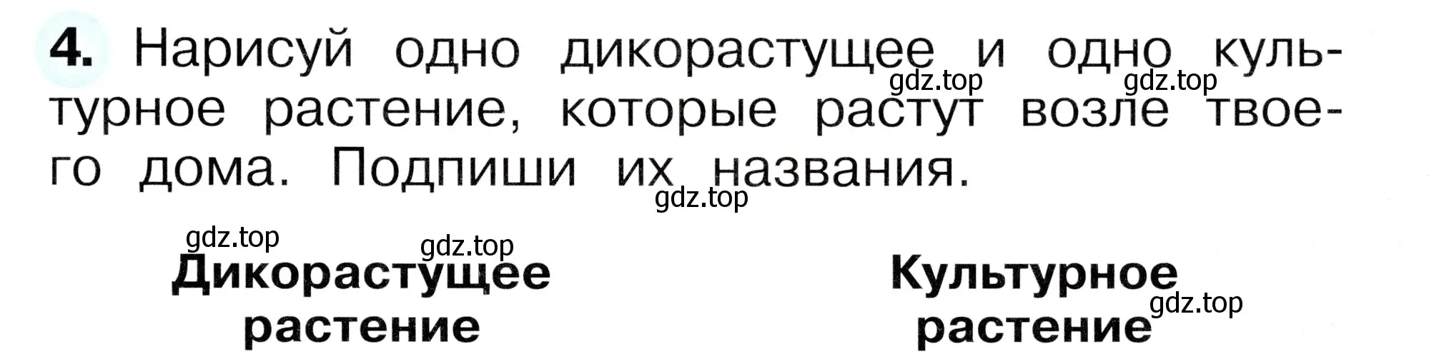 Условие номер 4 (страница 59) гдз по окружающему миру 1 класс Плешаков, Новицкая, рабочая тетрадь 1 часть