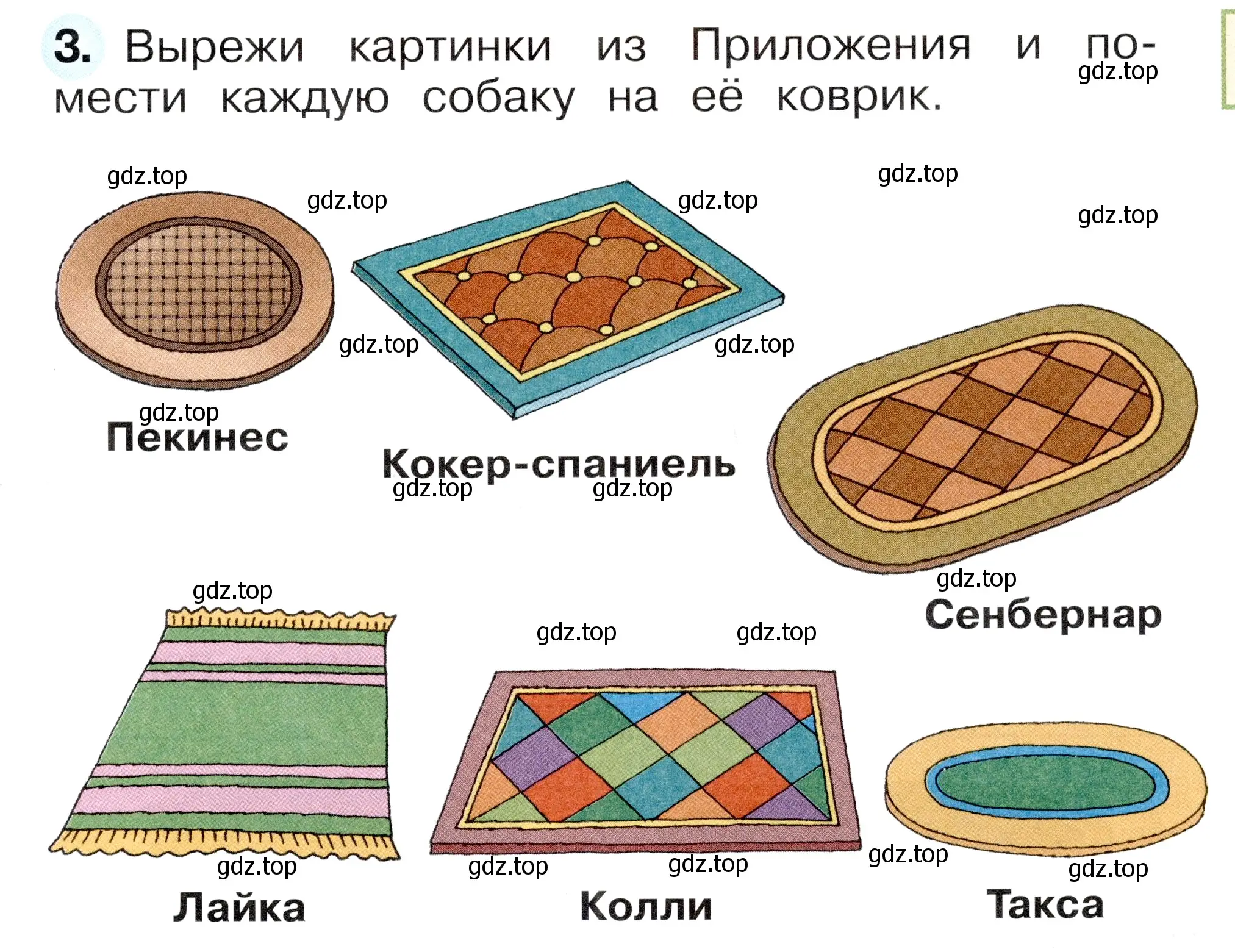 Условие номер 3 (страница 61) гдз по окружающему миру 1 класс Плешаков, Новицкая, рабочая тетрадь 1 часть