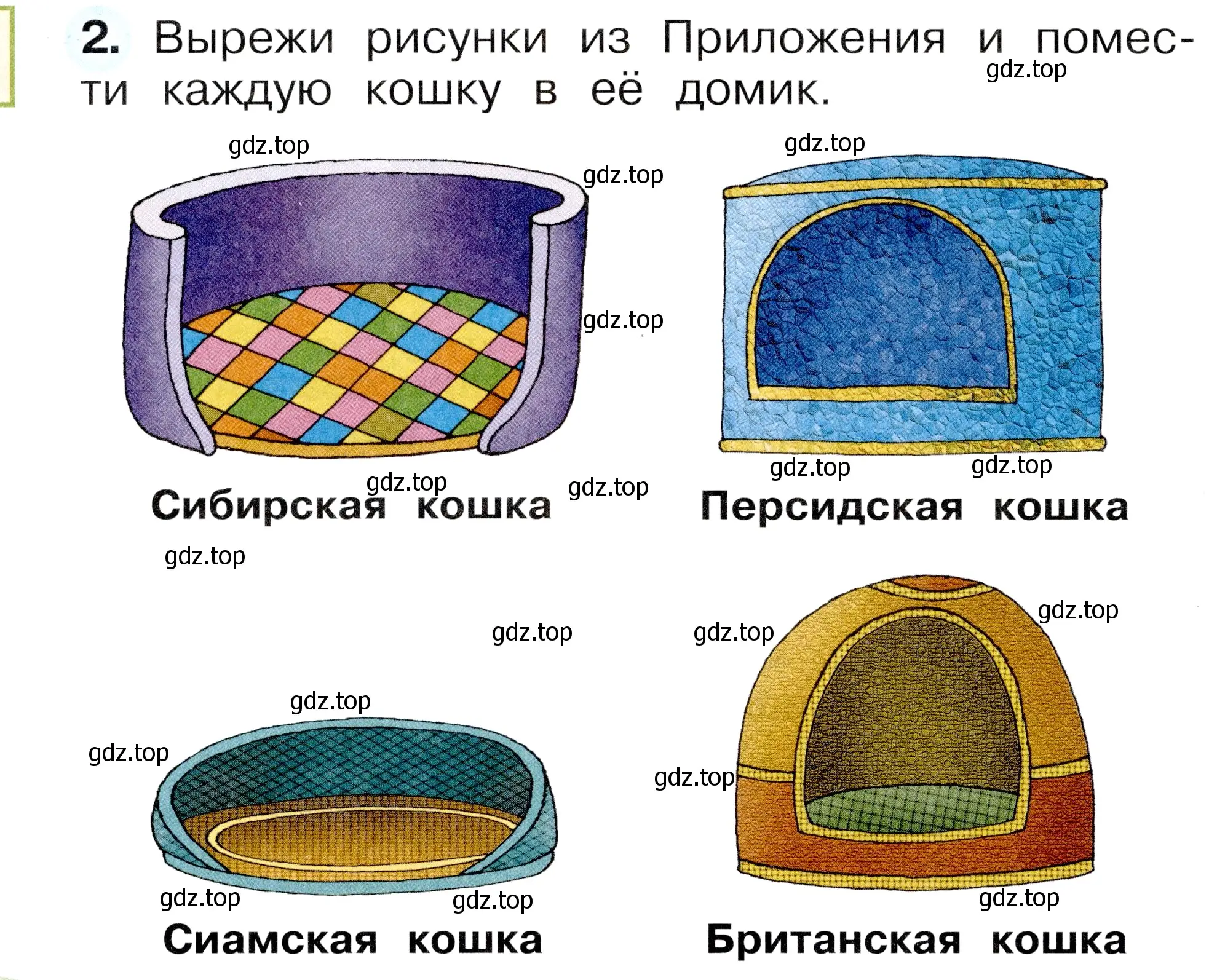 Условие номер 2 (страница 62) гдз по окружающему миру 1 класс Плешаков, Новицкая, рабочая тетрадь 1 часть