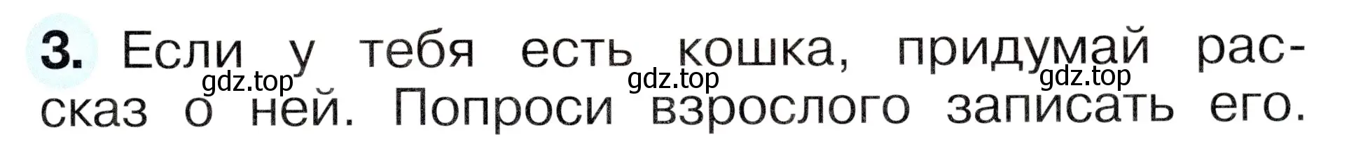 Условие номер 3 (страница 63) гдз по окружающему миру 1 класс Плешаков, Новицкая, рабочая тетрадь 1 часть