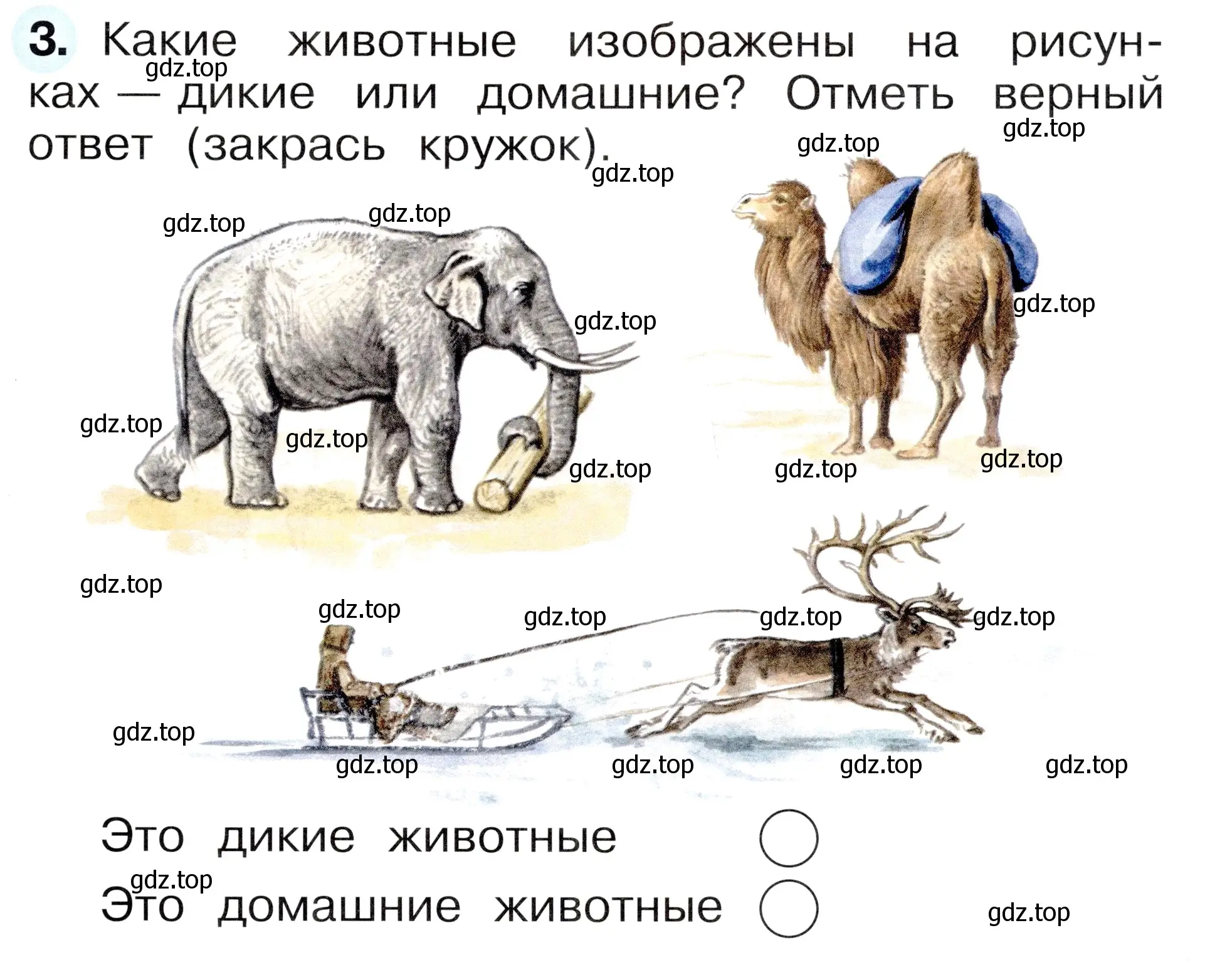 Условие номер 3 (страница 65) гдз по окружающему миру 1 класс Плешаков, Новицкая, рабочая тетрадь 1 часть