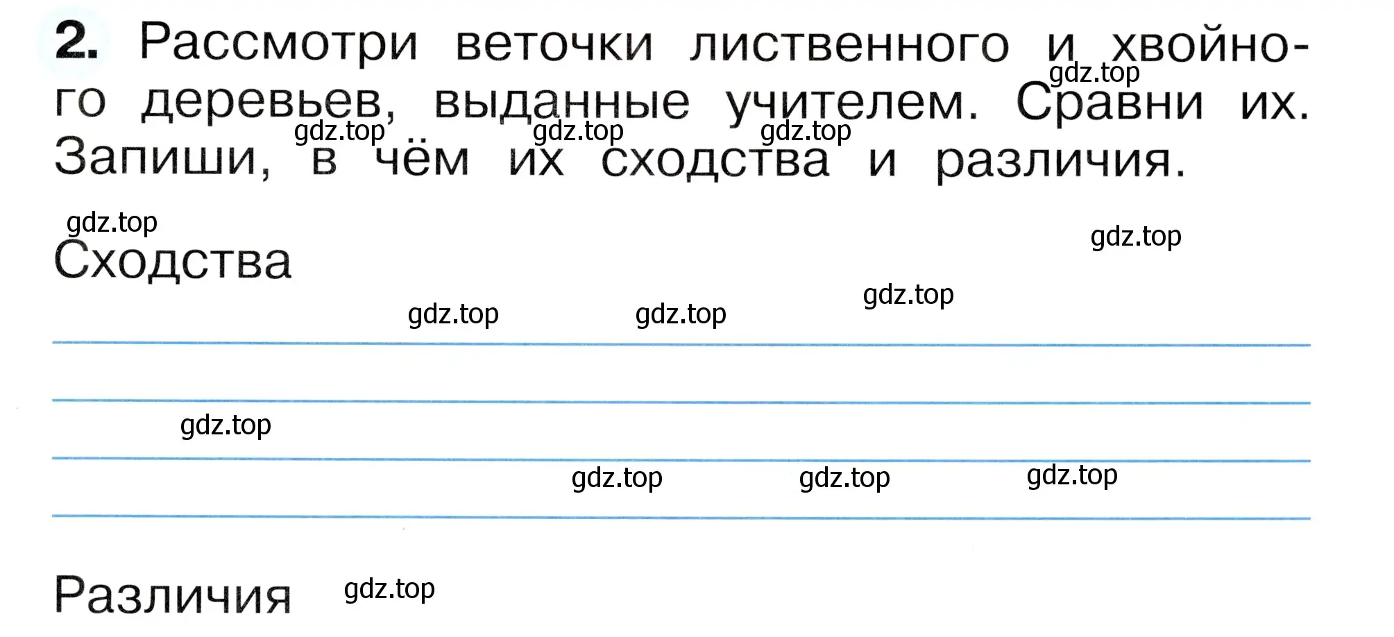 Условие номер 2 (страница 13) гдз по окружающему миру 1 класс Плешаков, Новицкая, рабочая тетрадь 2 часть