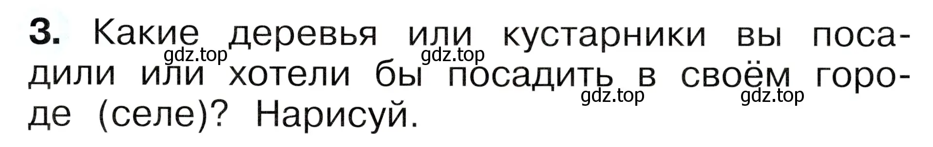 Условие номер 3 (страница 13) гдз по окружающему миру 1 класс Плешаков, Новицкая, рабочая тетрадь 2 часть