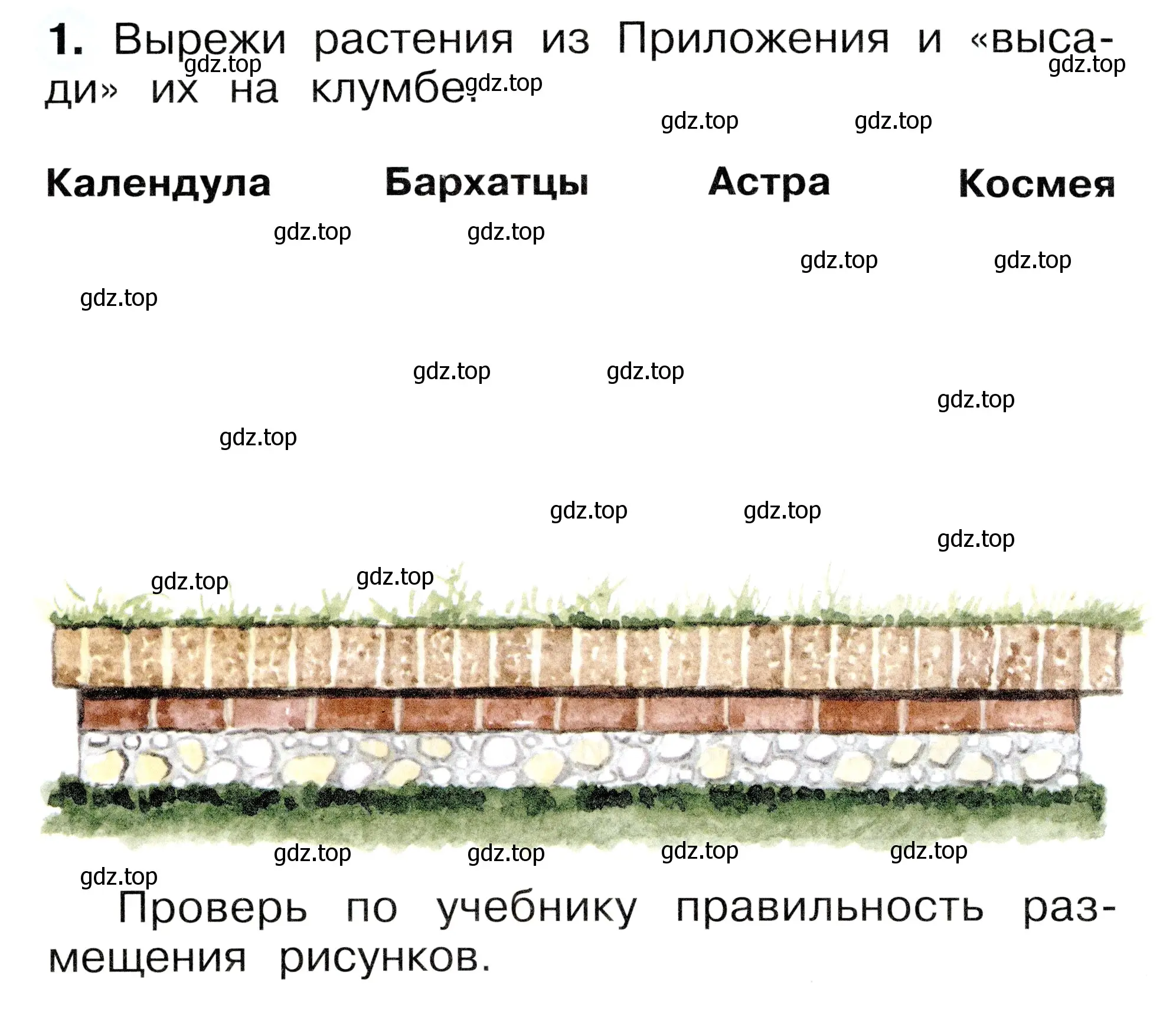 Условие номер 1 (страница 14) гдз по окружающему миру 1 класс Плешаков, Новицкая, рабочая тетрадь 2 часть