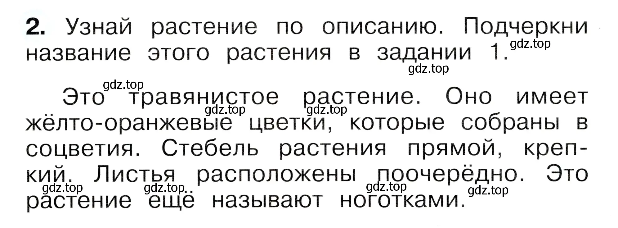 Условие номер 2 (страница 14) гдз по окружающему миру 1 класс Плешаков, Новицкая, рабочая тетрадь 2 часть